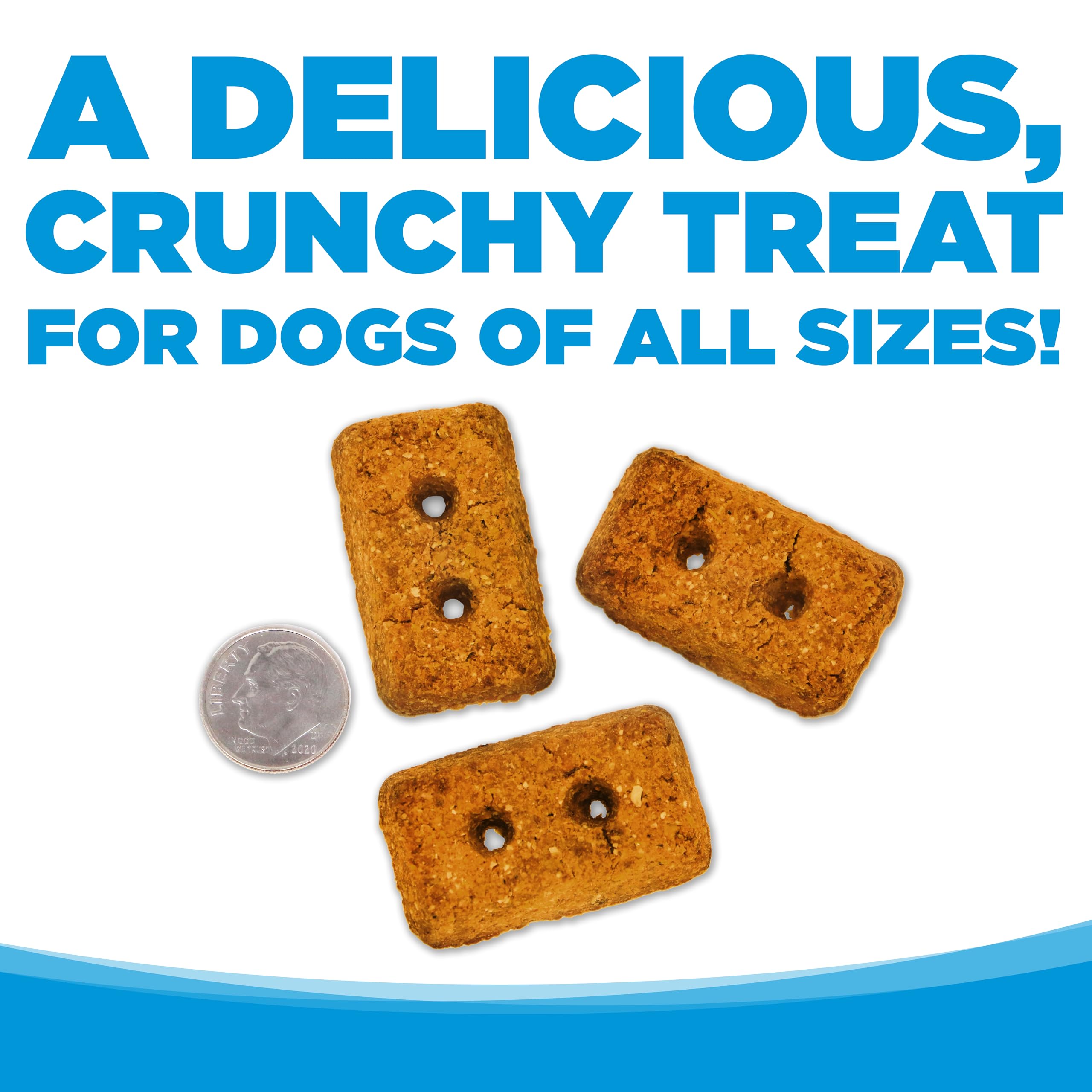 NutriSource Grain-Free Dog Treats, Chicken Biscuits, 14oz