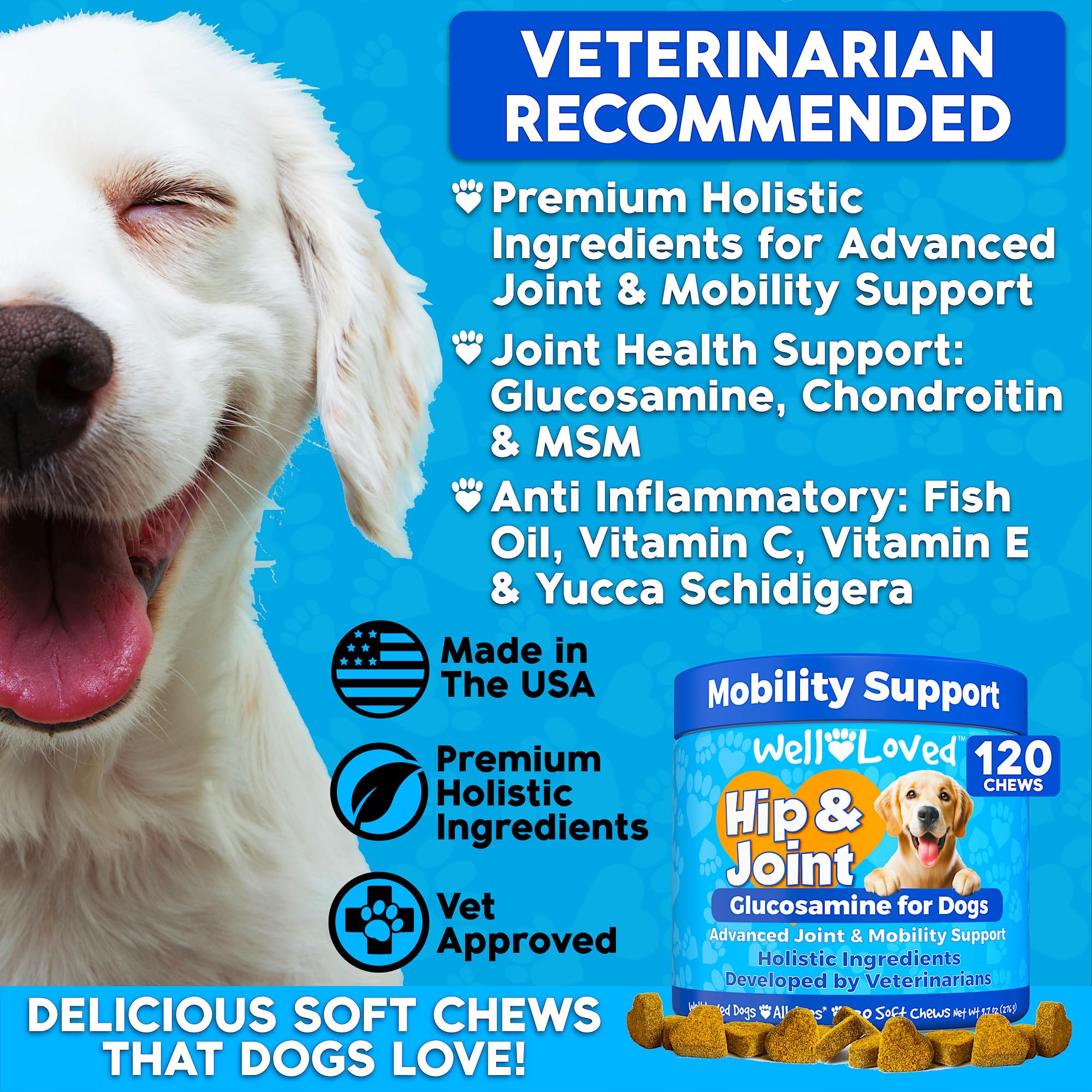 Well Loved Glucosamine for Dogs - Joint Supplement for Dogs, Made in USA, Vet Developed, Glucosamine Chondroitin, Hip and Joint
