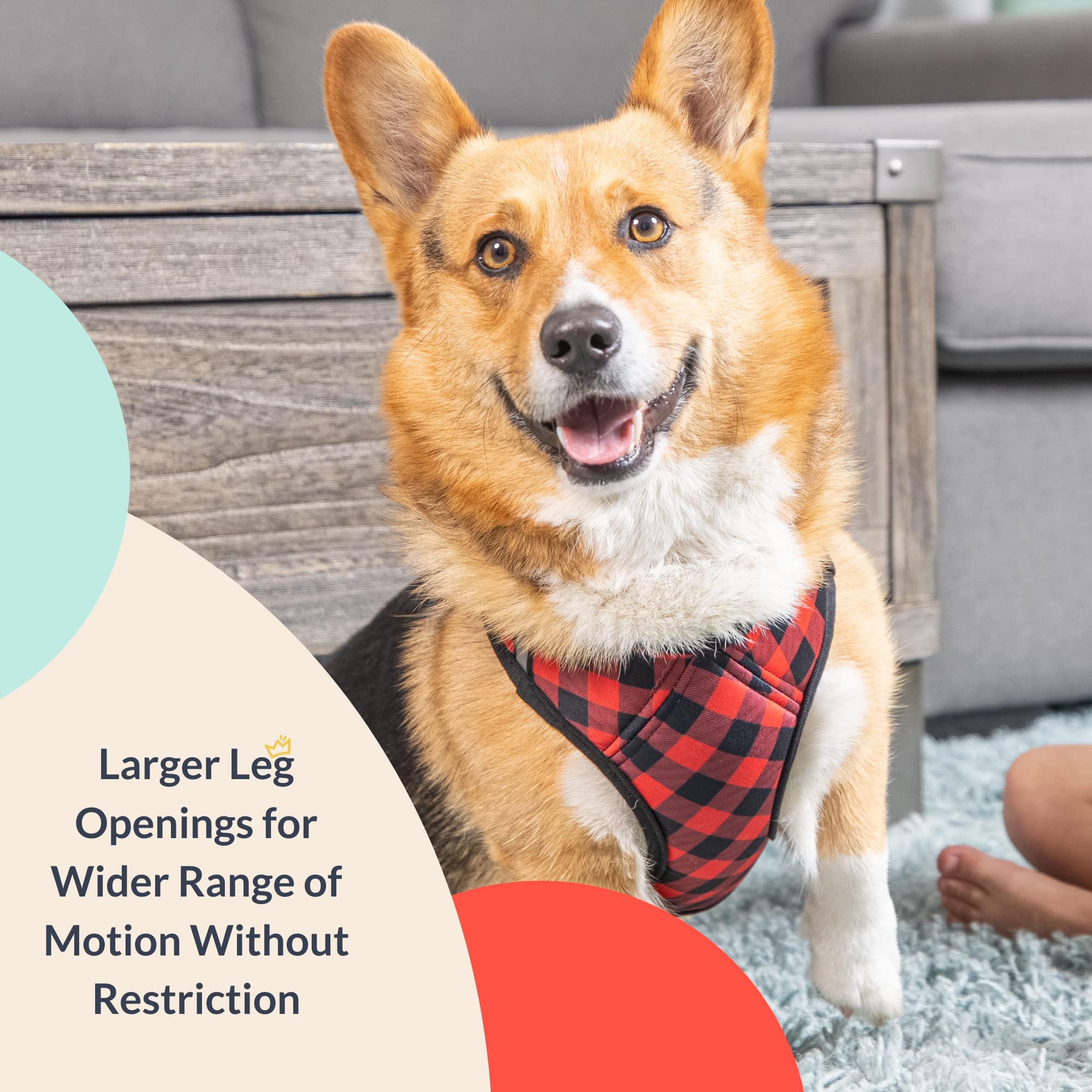 Huxley & Kent Hudson Walking & Training Harness - Buffalo Check (Extra-Large, 35-50Lbs) - Easy Control Step-In Mesh Vest Harness