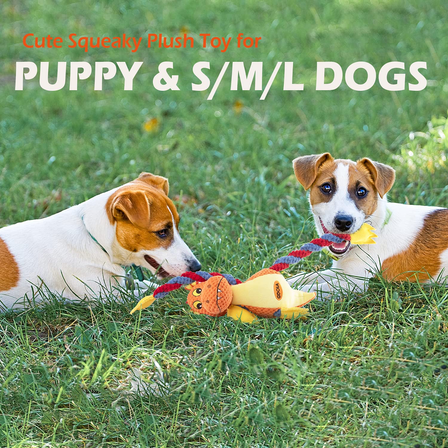 Goola Dog Squeaky Toys, Cute Dragon Interactive Plush Stuffed Toy With 5 Squeakers And Crinkle Paper,Pet Rope Chew Toy For Puppy