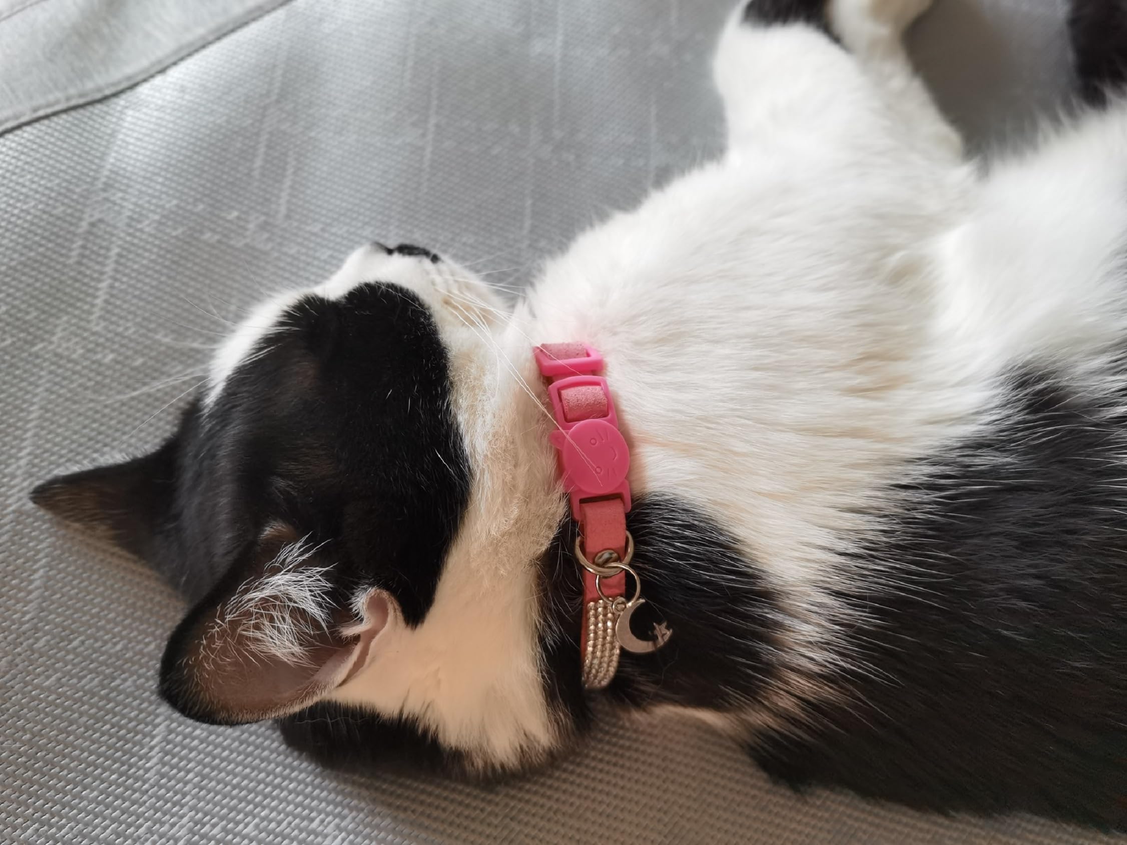 Rhinestone Cat Collar Breakaway With Bell Safety Buckle, Adjustable Diamond Girl Boy Kitty Cute Comfy Collar For Kitten Tiny Lit