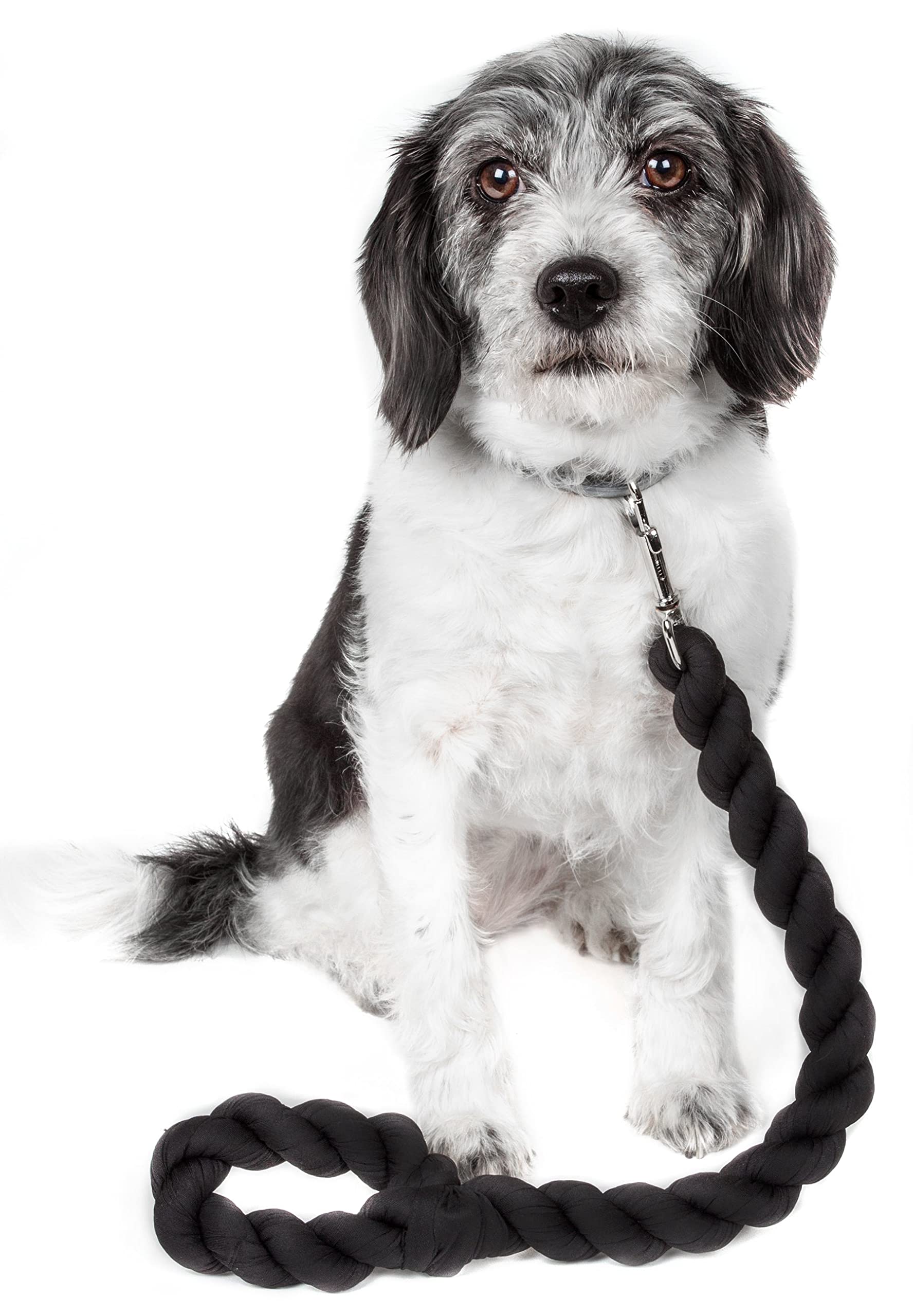 Pet Life Tough-Tugger Industrial-Strength Shock Absorption Woven Dog Leash - One Size - Navy