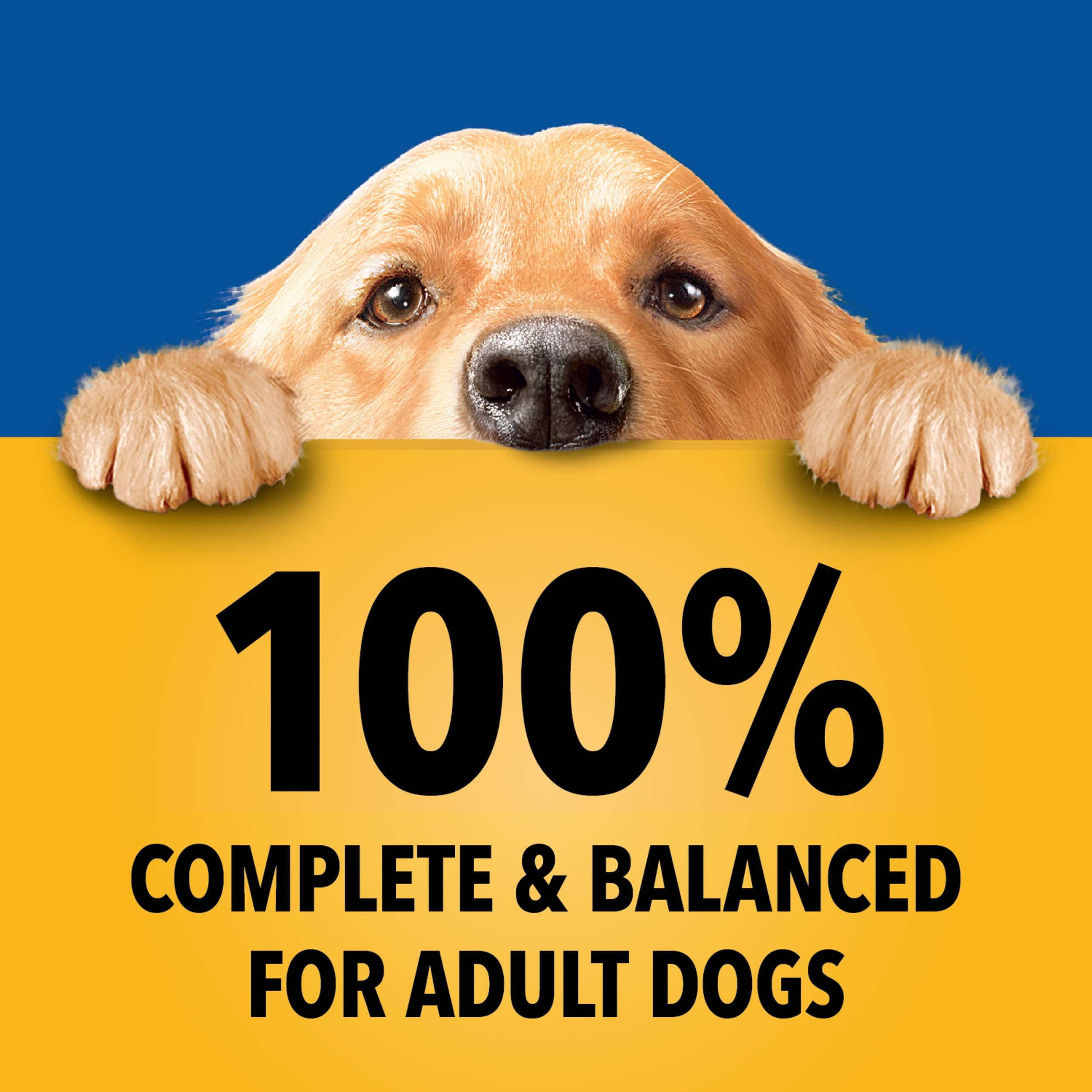 PEDIGREE CHOPPED GROUND DINNER Adult Soft Wet Dog Food Variety Pack, 3.5 Ounce - 18 Count (Pack of 1)
