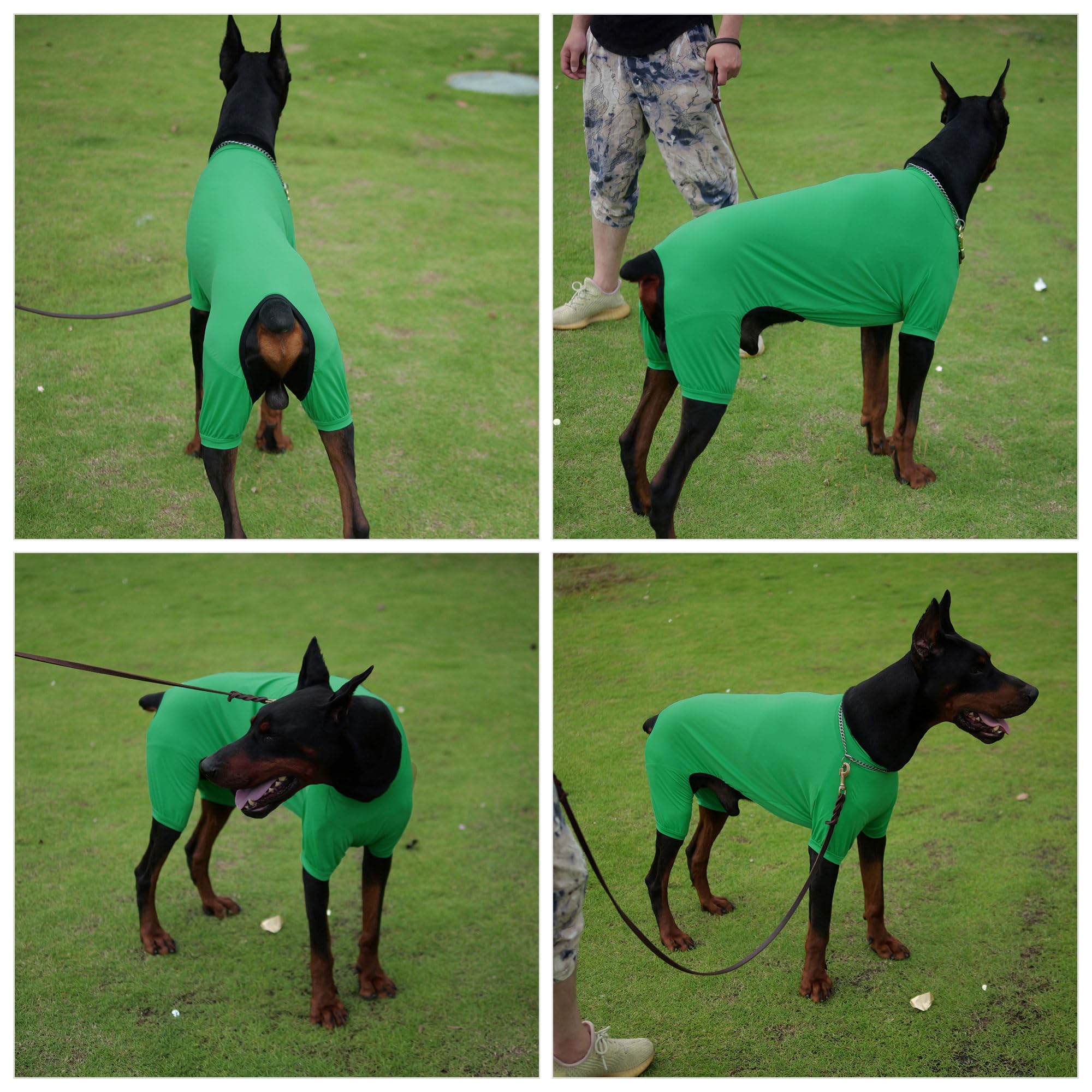 Lovelonglong Dog Jumpsuit With Uv Protection And Quick-Dry Fabric For Spring Summer Pet Pajamas Leaf Green L