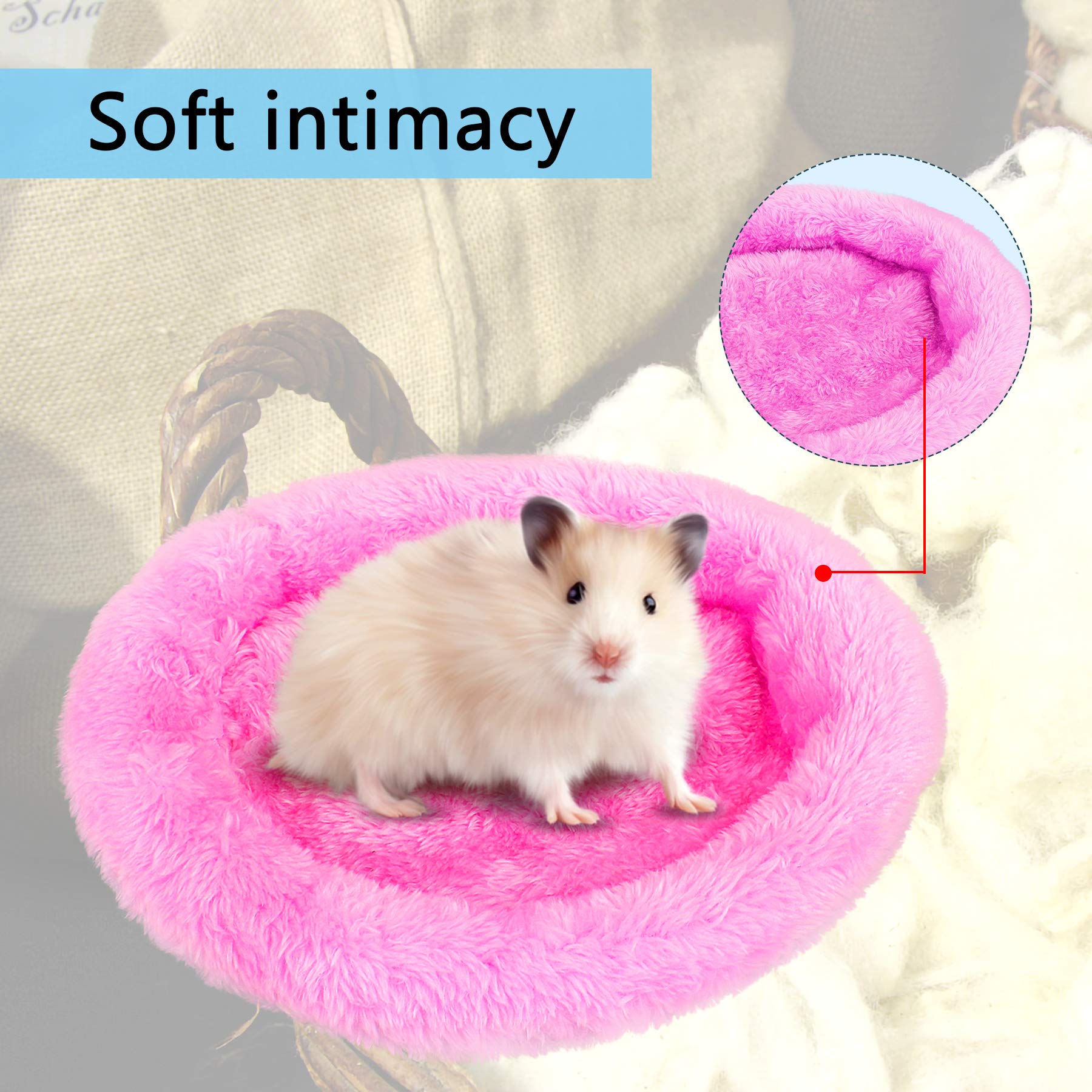 FEBSNOW Guinea Pig & Hamster Beds - Hedgehog, Squirrel & Tortoise/Lizard Beds