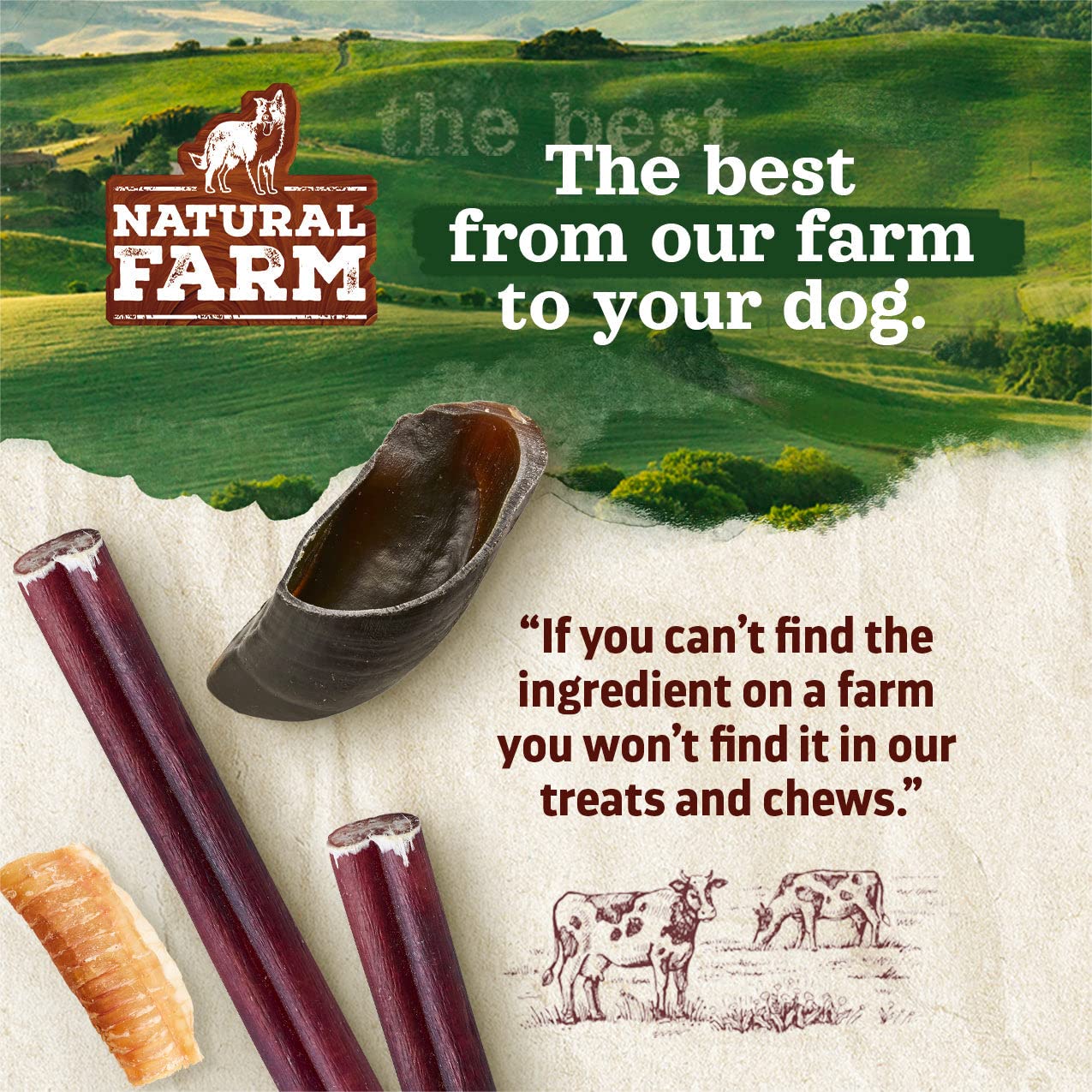 Natural Farm Nail-Free Chicken Feet Dog Treats (100 Pack), 100% Free-Range Air Dried Chicken Feet, No Nails, Fully Digestible, H