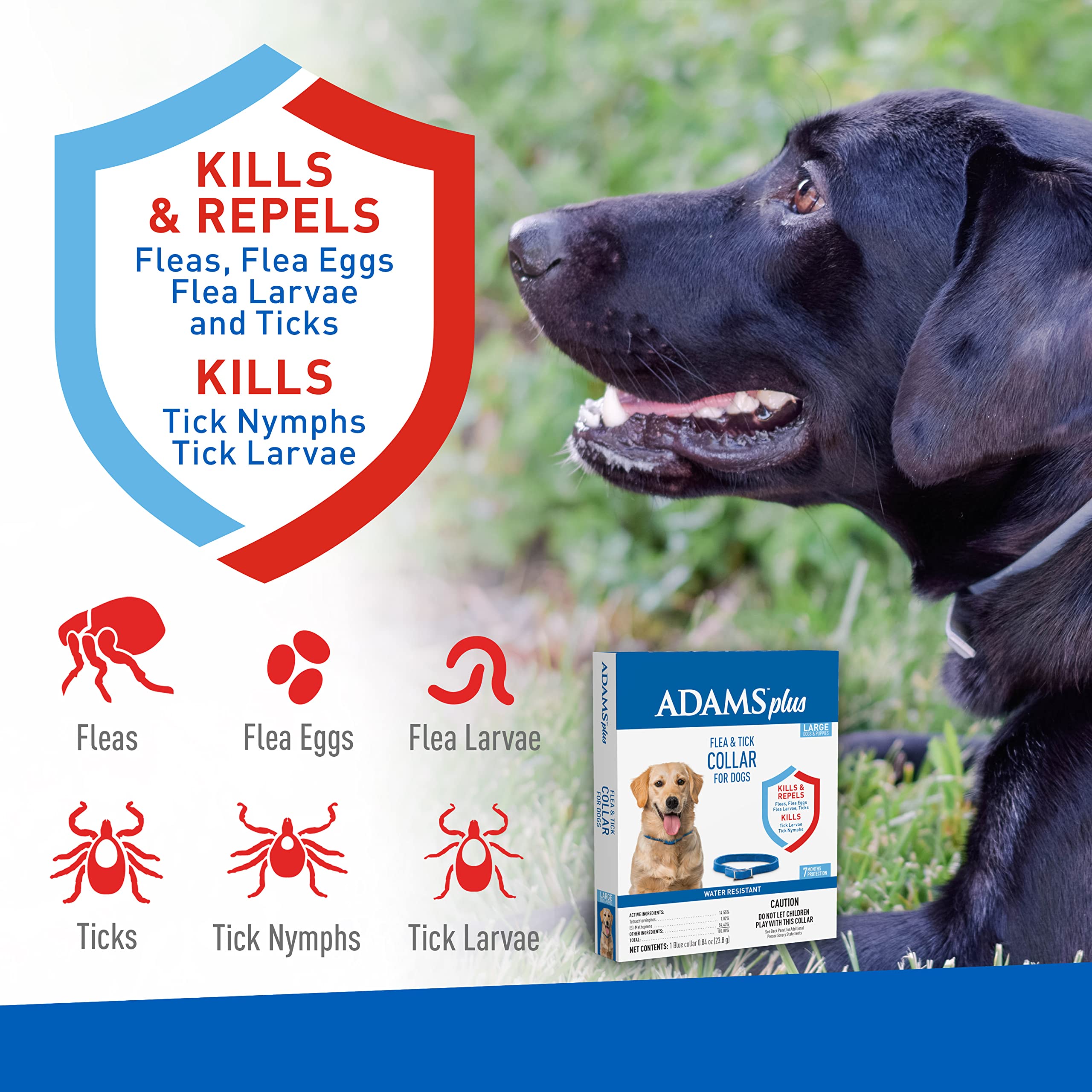 Adams Plus Flea & Tick Collar For Dogs, 7-Month Protection, Adjustable Collar Fits Large Dogs & Puppies, Kills & Repels Fleas, Flea Eggs, Flea Larvae And Ticks, Kills Tick Larvae And Tick Nymphs, Blue