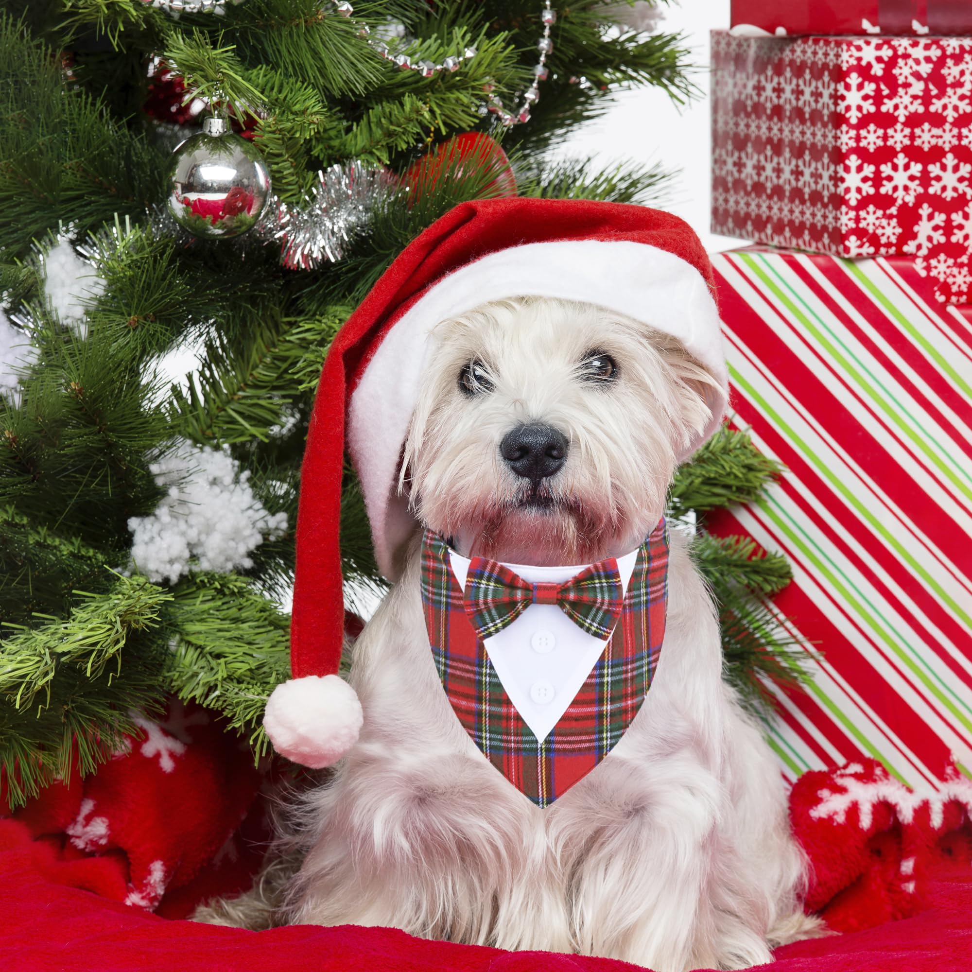 Adoggygo Christmas Dog Tuxedo Bandana, Red Plaid Pet Chritstmas Collar With Bowtie, Adjustable Christmas Costume For Small Dogs