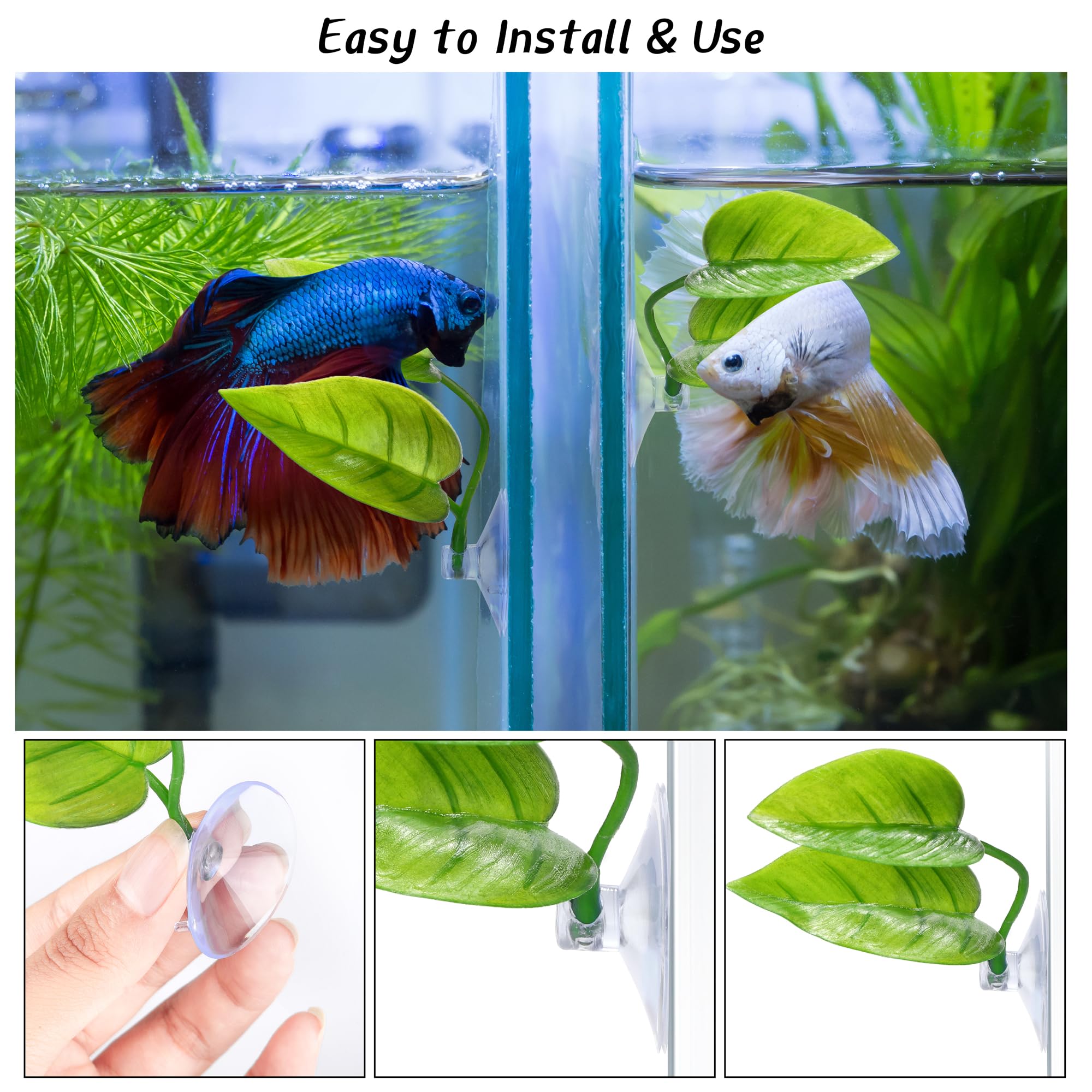 URATOT 4 Pack Betta Fish Leaf Pad Simulating The Natural Habitat for Betta Spawning Grounds Breeding Resting Bed