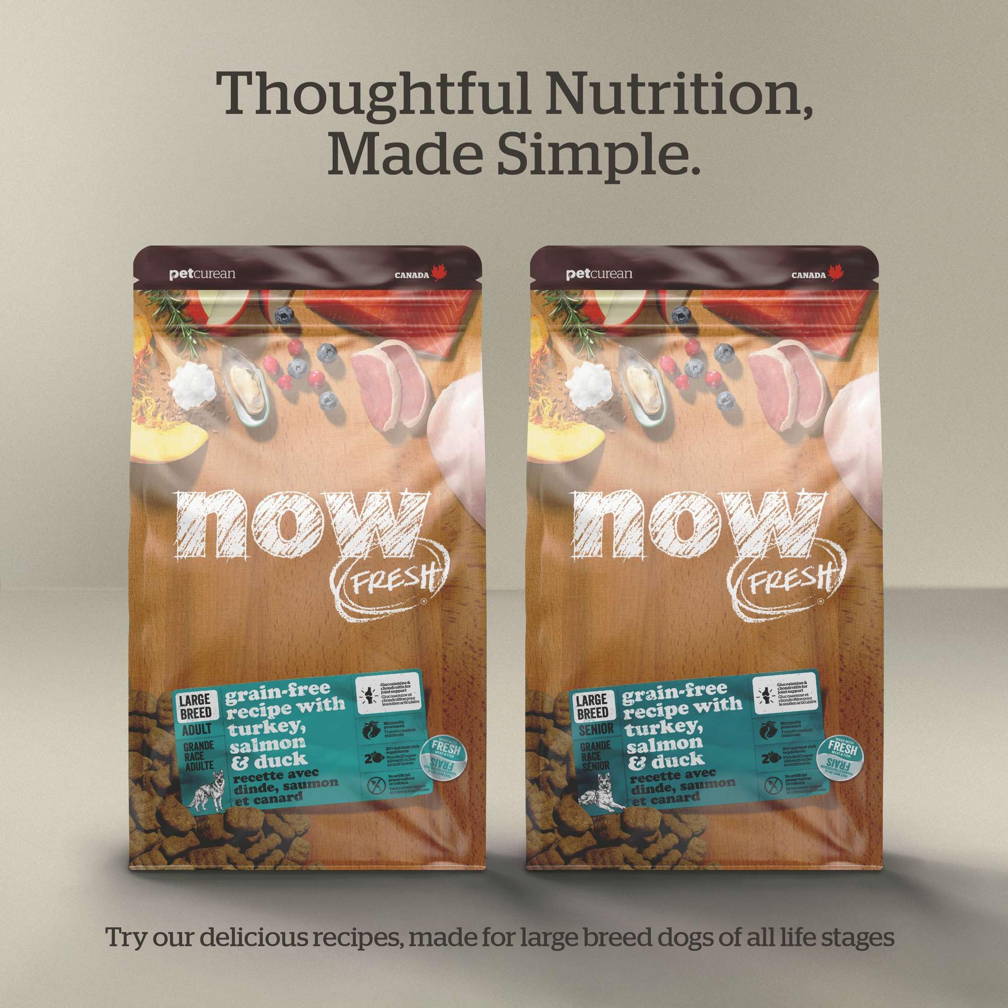Now Fresh Grain-Free Large Breed Dry Puppy Food with Turkey, Salmon & Duck, Healthy Kibble for Growing Dogs with Real Poultry &