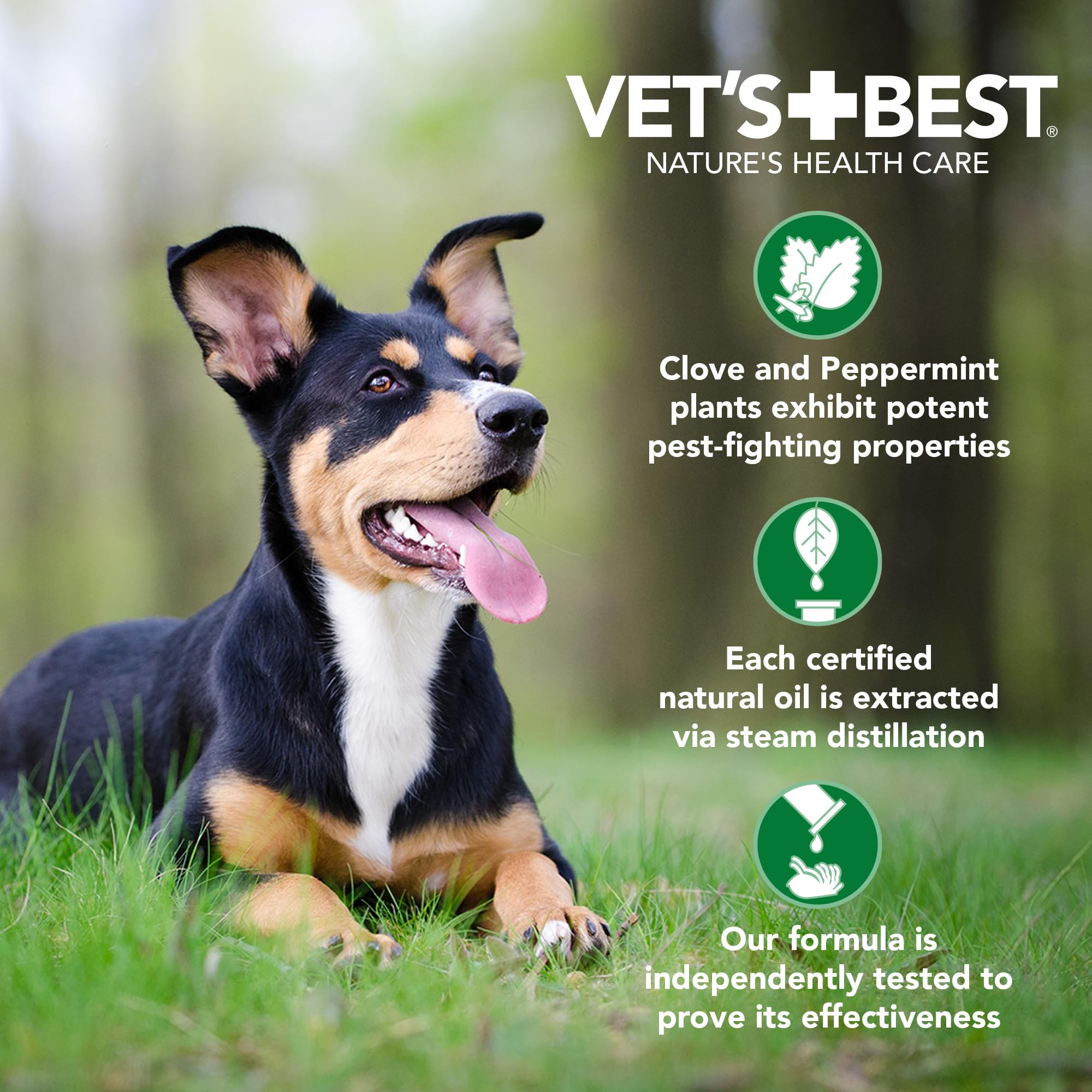 Vets Best Anti-Flea Spray Shampoo - Dog Flea and Tick Treatment - Plant-Based Formula - Certified Natural Oils - 16 oz