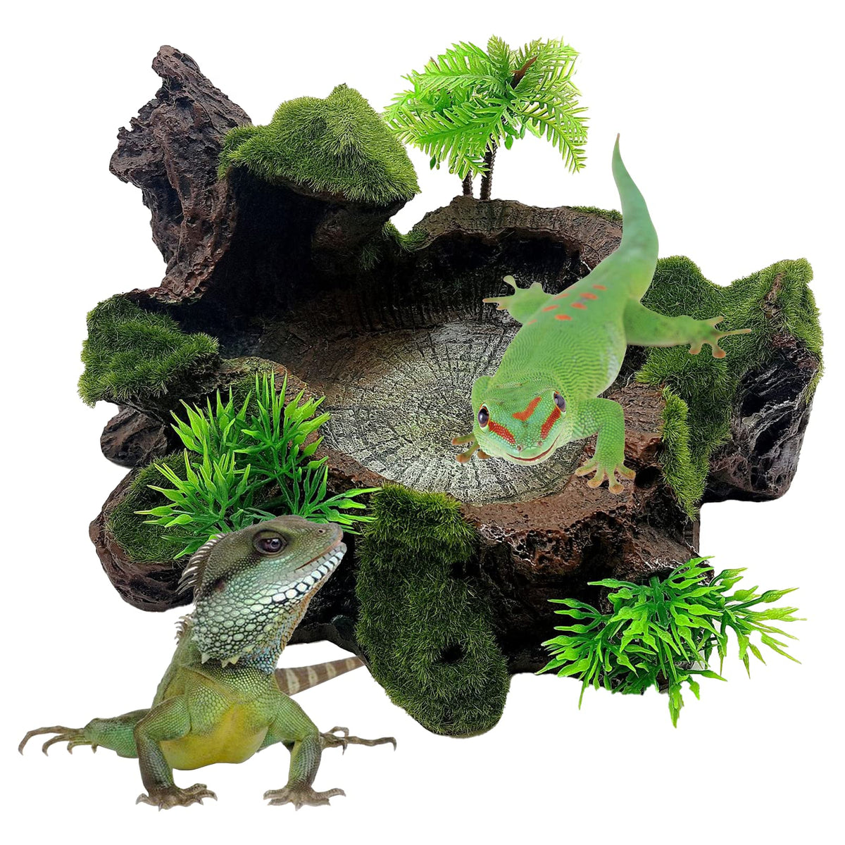 Hamiledyi Reptile Tank Decor Resin Reptile Platform With Artificial Plants Reptile Water Dish Food Bowl Reptile Feeding Dish For Lizard Small Turtle Gecko Water Frog Snake Amphibian Crawling Platform