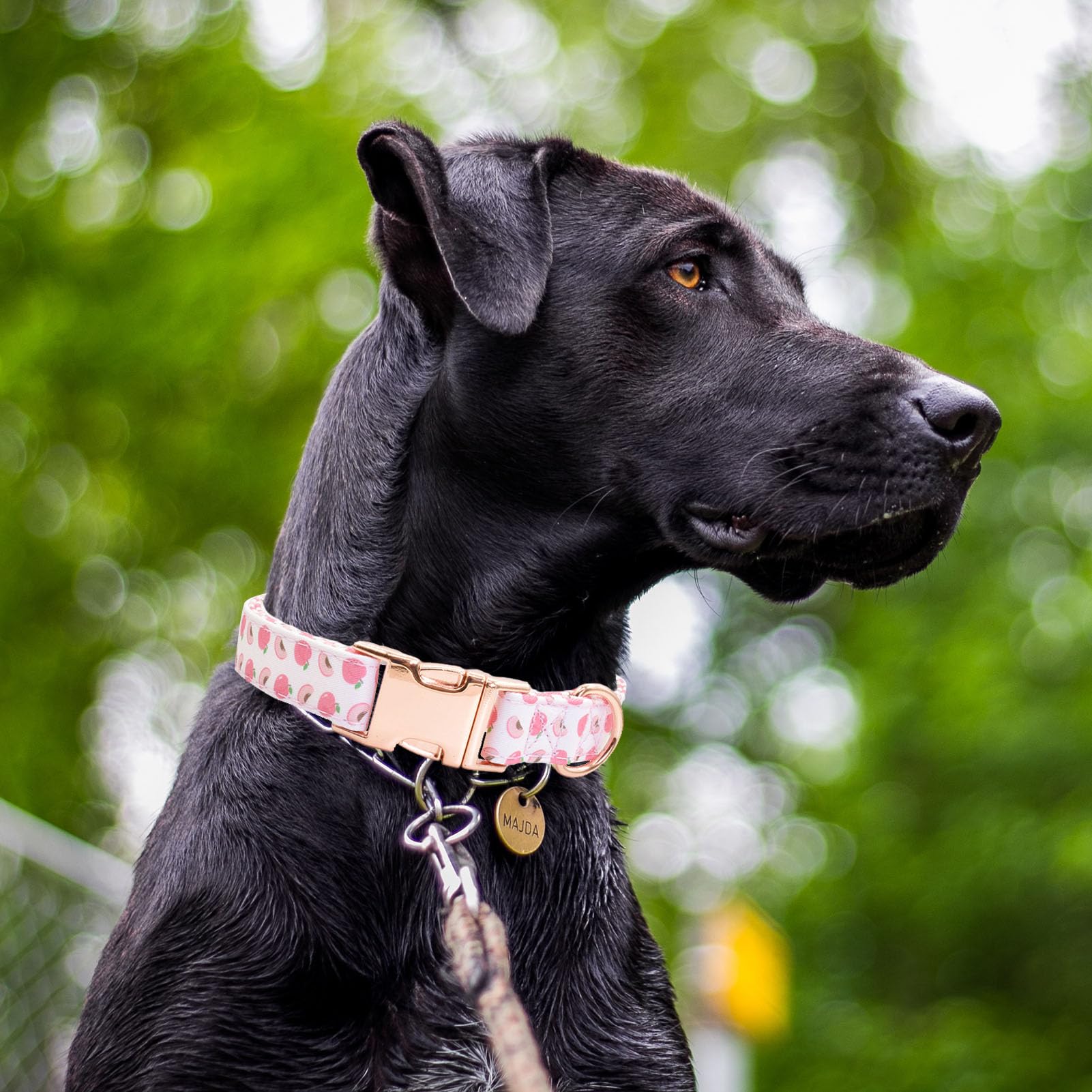 Cotton Dog Collar Metal Buckle Daisy Summer, Cute Adjustable Dog Collar Soft For Small Medium Large Boys Girls Dogs Durable (Pea