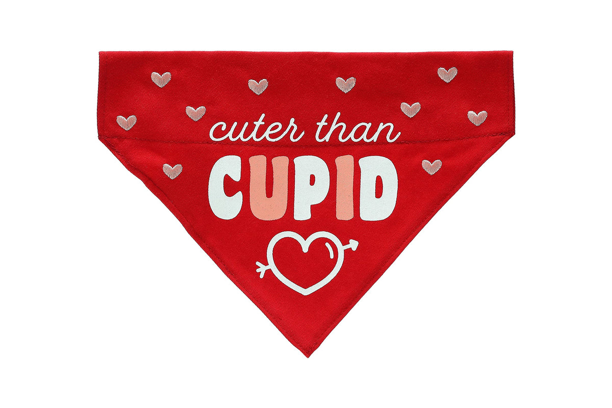 Pearhead Holiday Pet Bandana, Valentine'S Day Outfit For Pets, Slide-On Bandana, Dog Or Cat Apparel Accessory, Cuter Than Cupid, Small/Medium, S/M