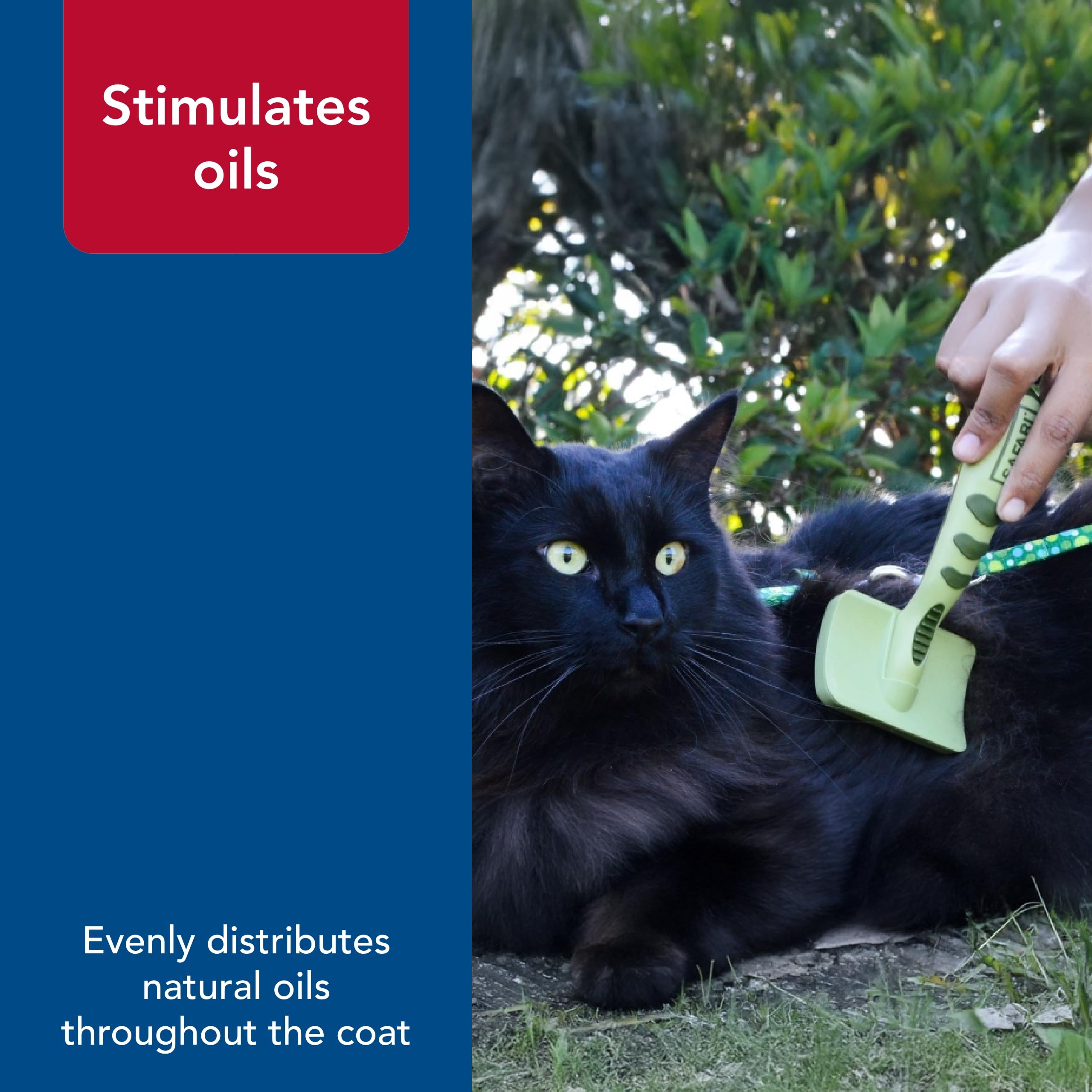 Coastal Pet - Safari - Complete Cat Brush, No Color, One Size (6.50' L X 3.0625' W)