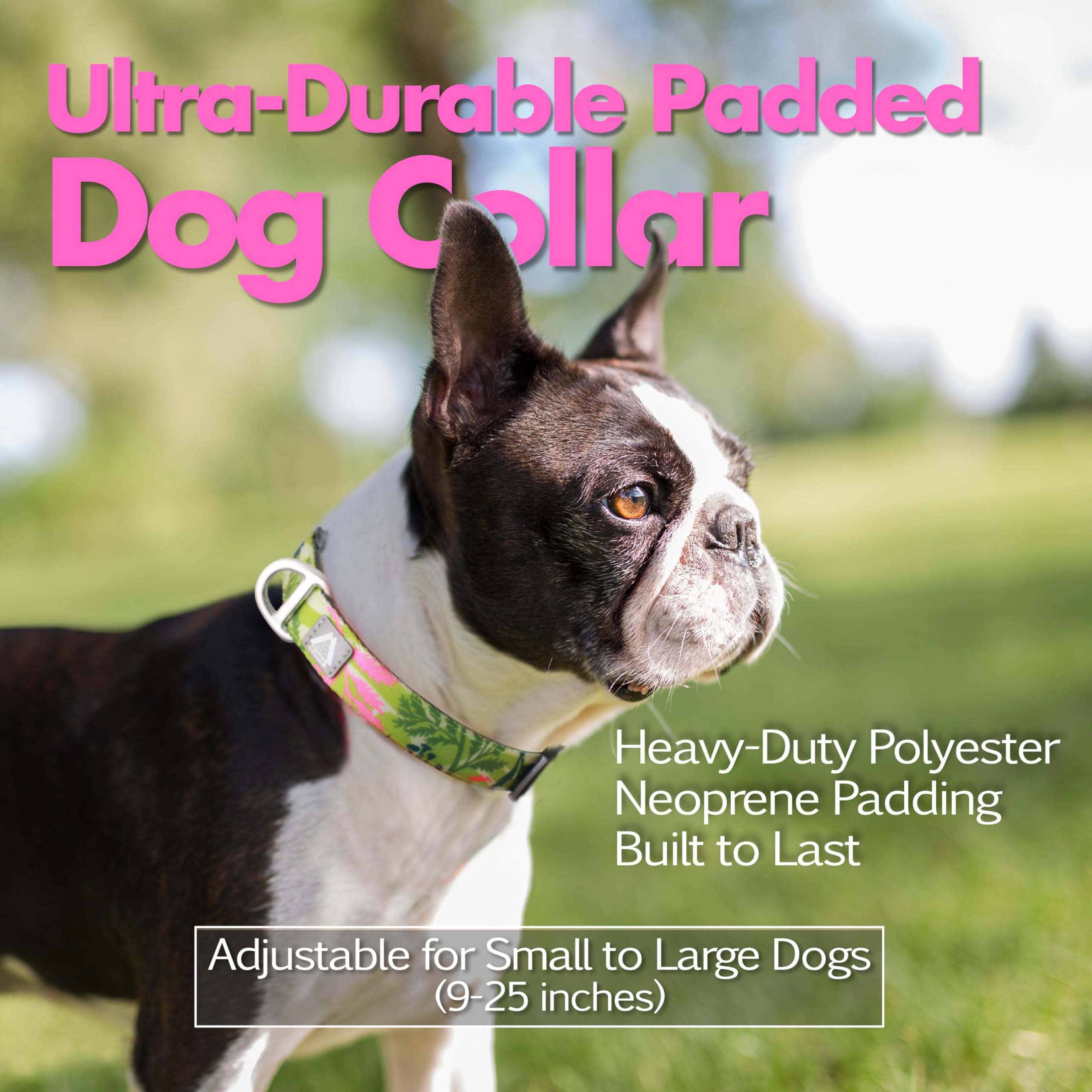 Jc House Small Dog Collar With Reflective Logo And Soft Padded Neoprene,Summer Tropical Leaf Design, Adjustable,Lightweight & Du