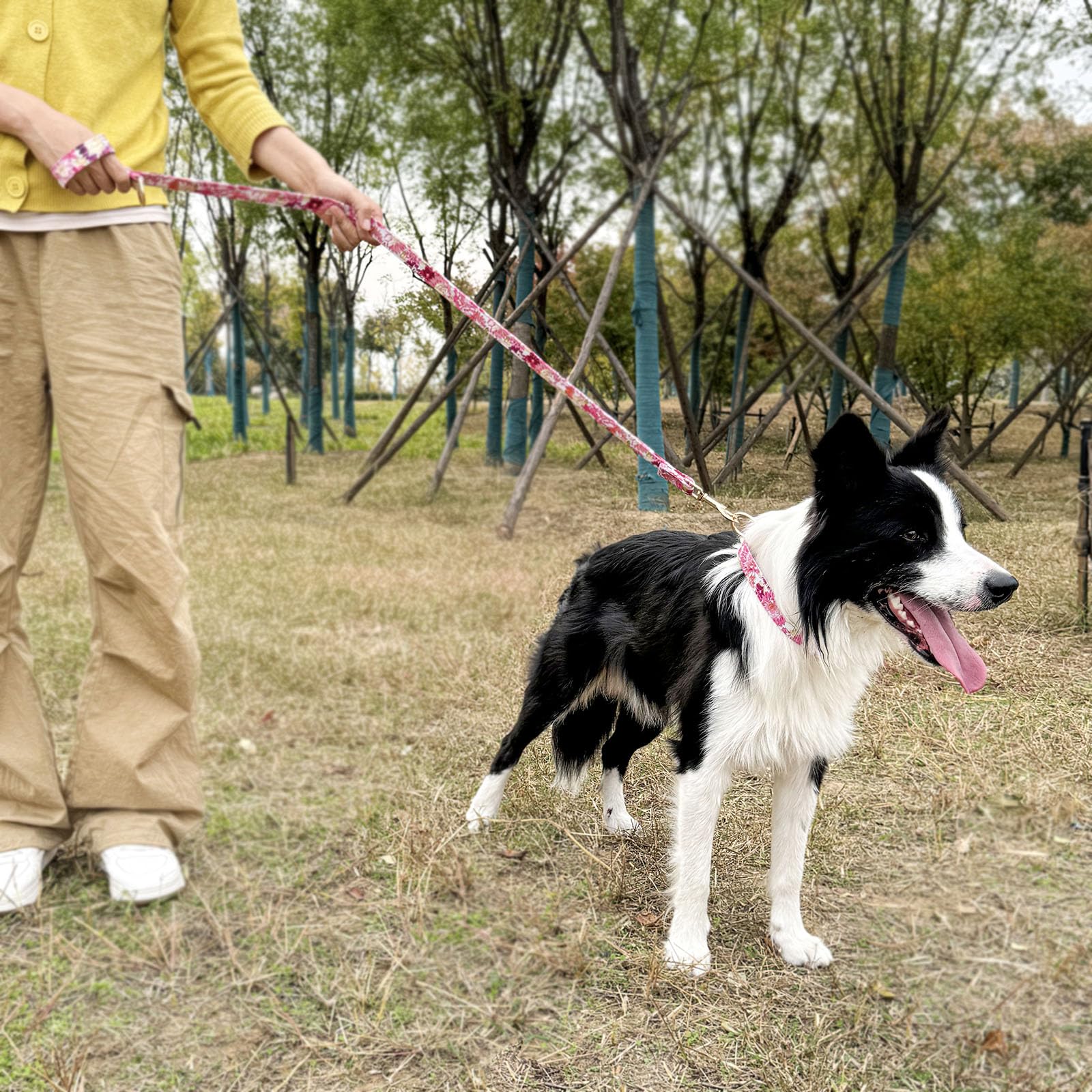 Dog Collar And Leash Set With Airtag Holder,Adjustable Dog Collars With Quick Release Metal Buckle,Flowers Patterns With Soft Pa