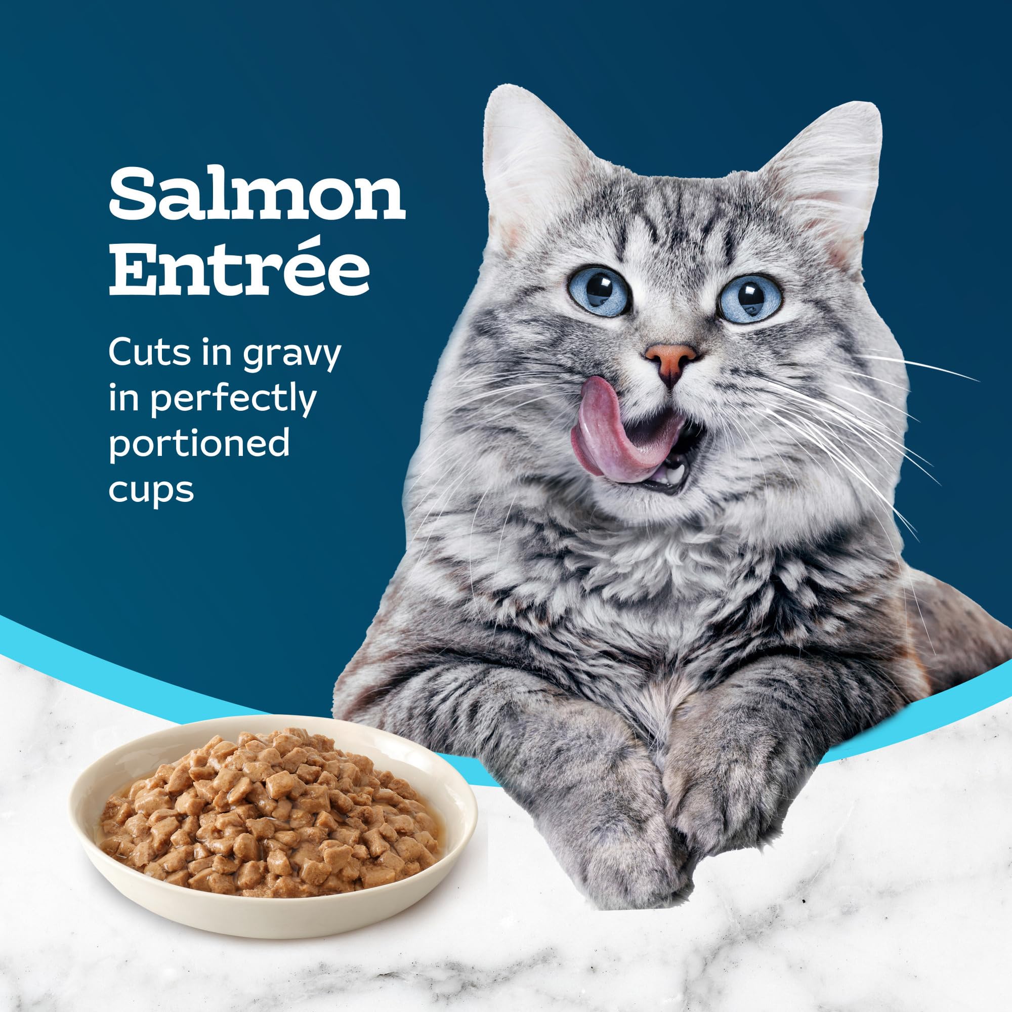 Blue Buffalo Tastefuls Savory Singles Natural Wet Cat Food in Gravy, 2.6-oz. Twin-Pack Tray, Salmon Entre   (24 Count)