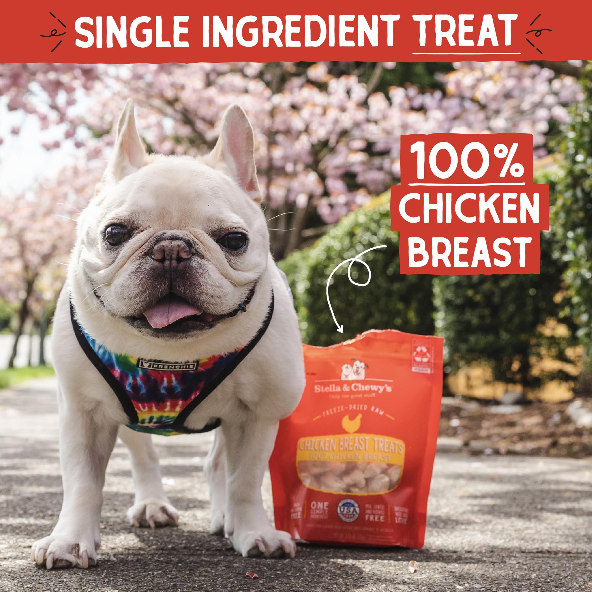 Stella & Chewys Freeze-Dried Raw Single Ingredient Chicken Breast Treats, 2.75 oz. Bag