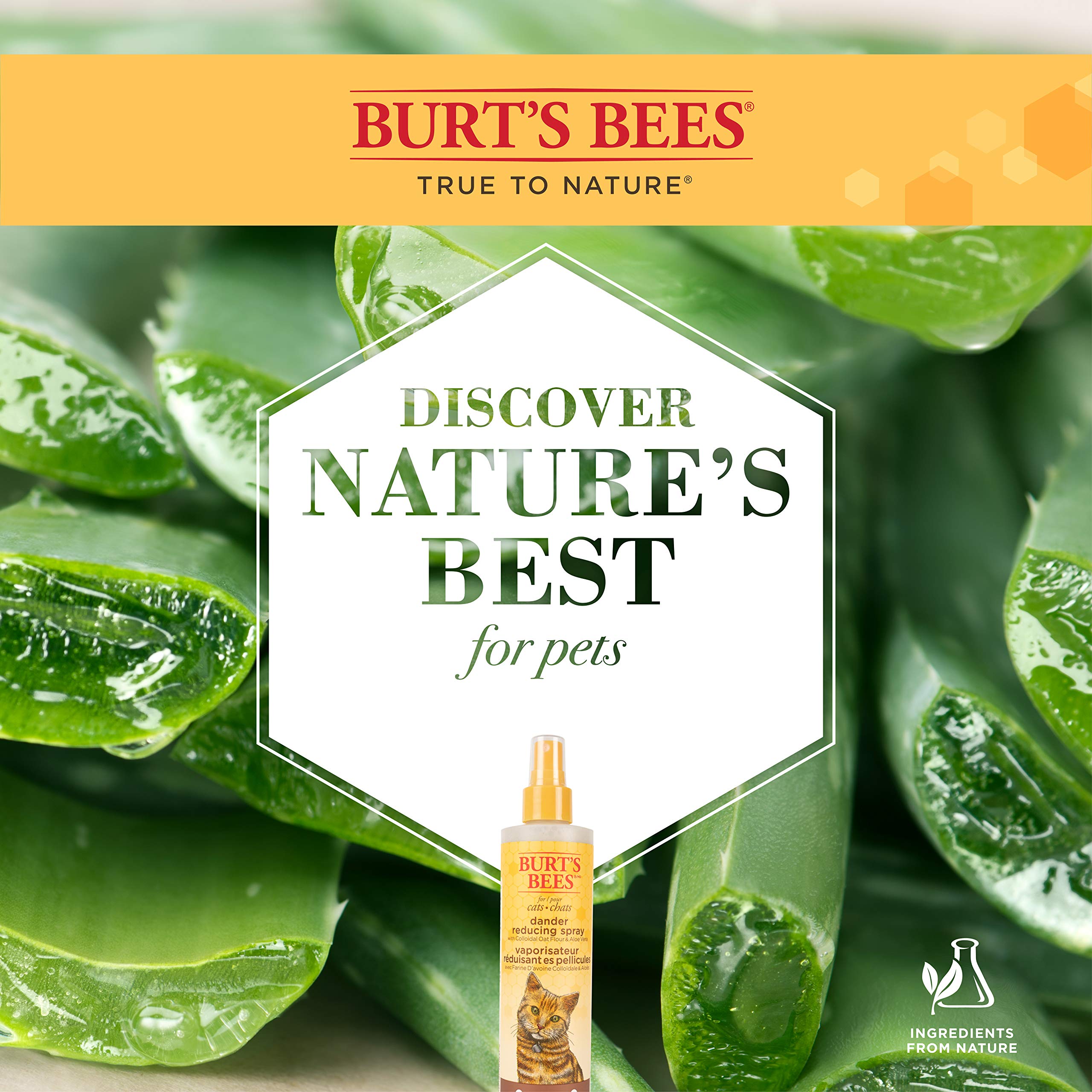 Burt'S Bees For Pets Cat Natural Dander Reducing Spray With Soothing Colloidal Oat Flour & Aloe Vera | Cruelty Free, Sulfate & Paraben Free, Ph Balanced For Cats - Made In Usa, 10 Oz Bottle