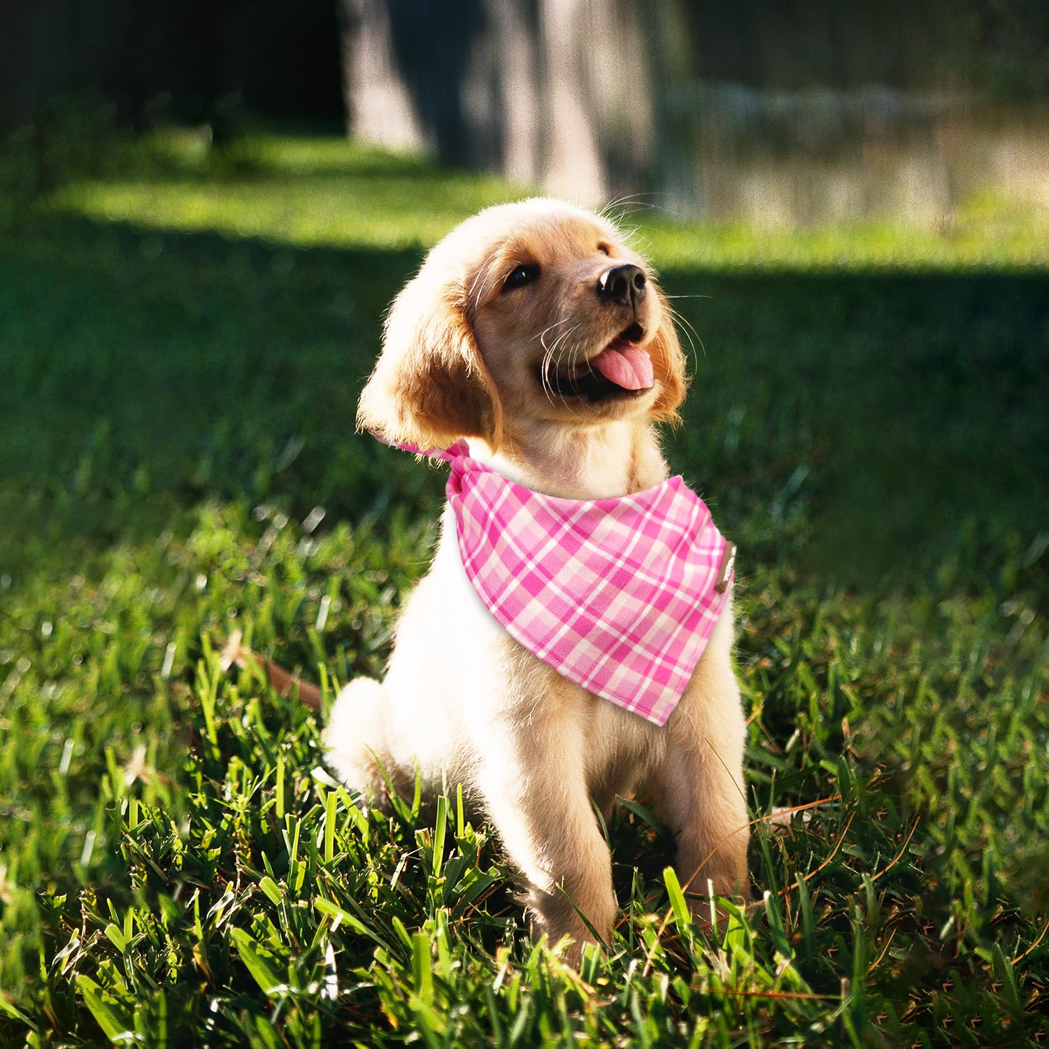 Tunkoo Dog Bandana Super Cute Pink Plaid Cotton Dog Scarf - Durable And Stylish Adjustable For Girl Small And Large Square Puppy