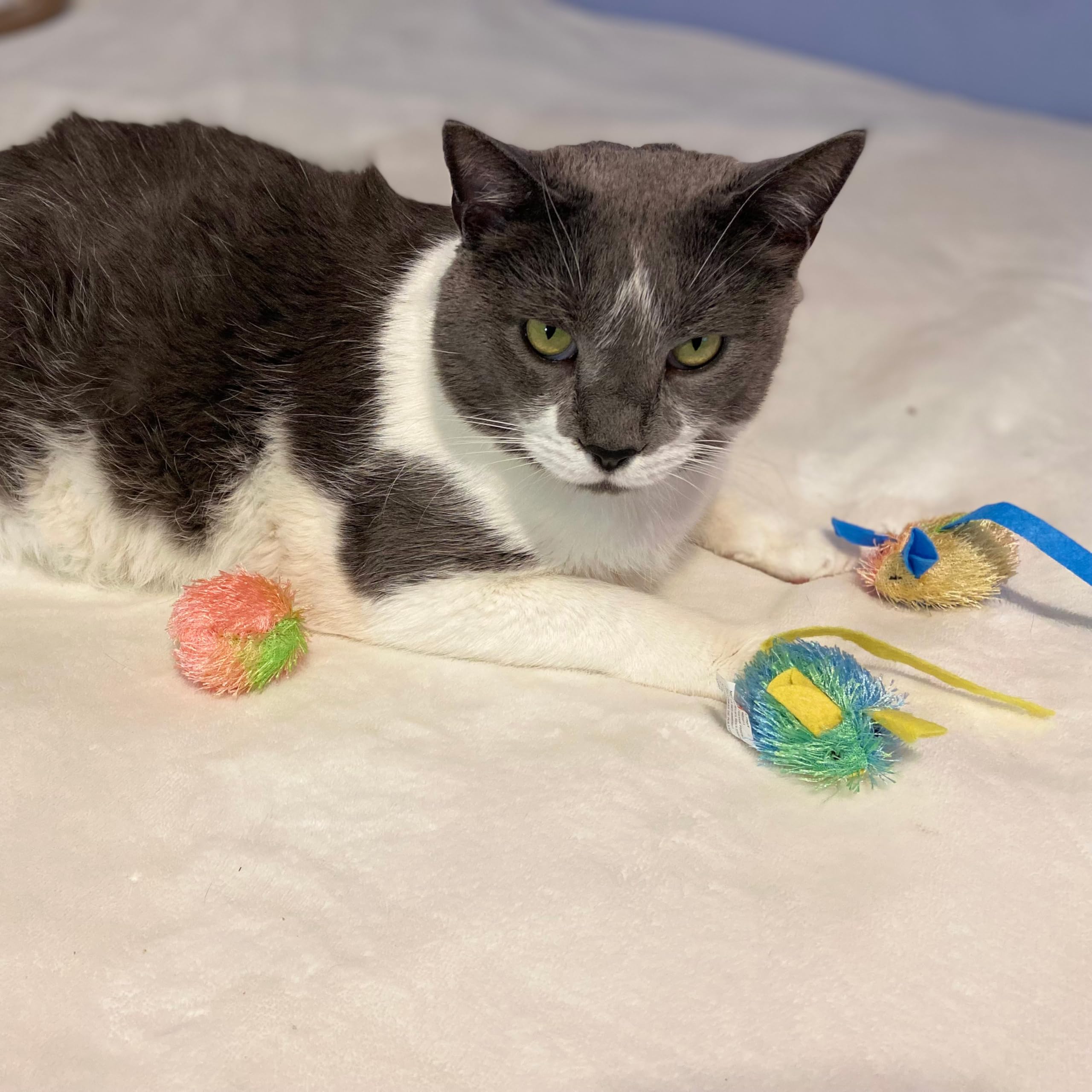 SPOT Stringy Mice & Balls - Catnip Cat Toys, Interactive, Colorful Plush Toys, Fun for Cats and Kittens to Bat and Chase, Boredo