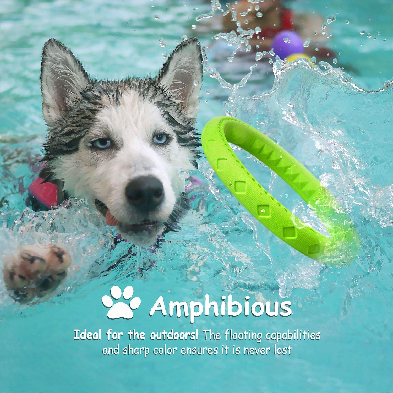 Fluffy Paws Dog Chewing Ring - Soft Rubber Teething Toy for Small/Medium Dogs - 10" Green, Model 2352562