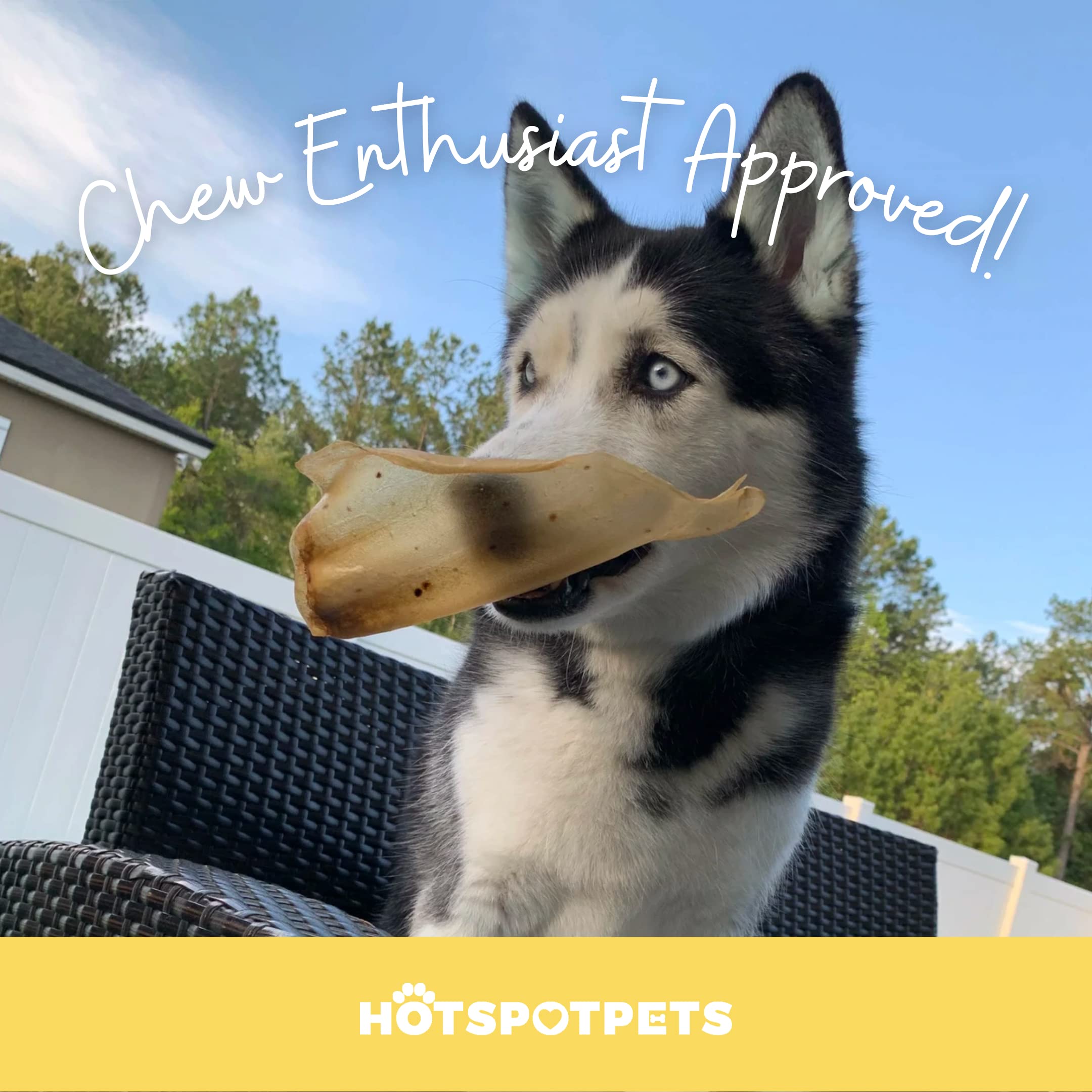 hotspot pets All-Natural Cow Ears Dog Chews - Long-Lasting Single Ingredient Treat for Healthy Teeth & Gums, Perfect for Dogs