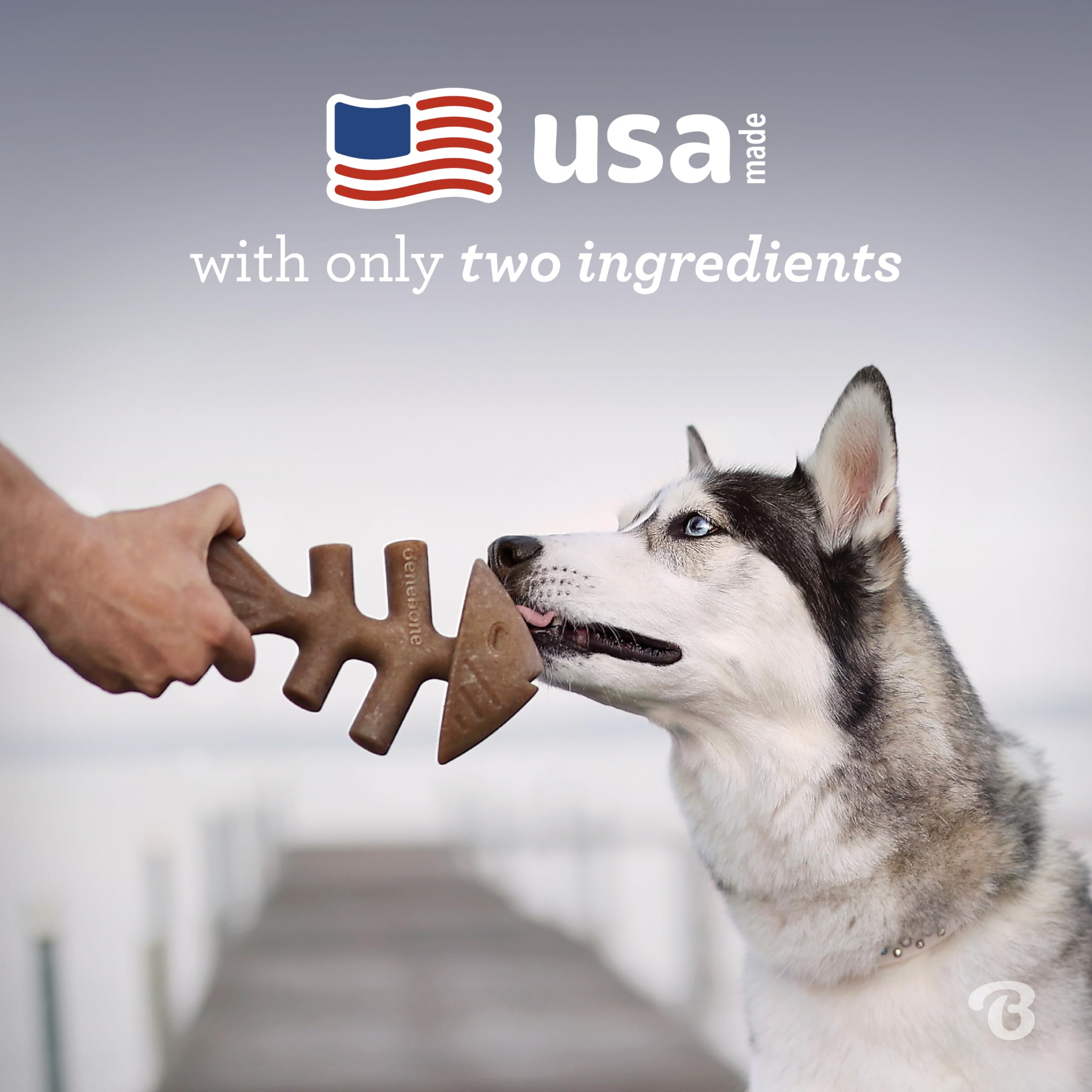Benebone Fishbone Durable Dog Chew Toy For Aggressive Chewers, Real Fish, Made In Usa, Medium