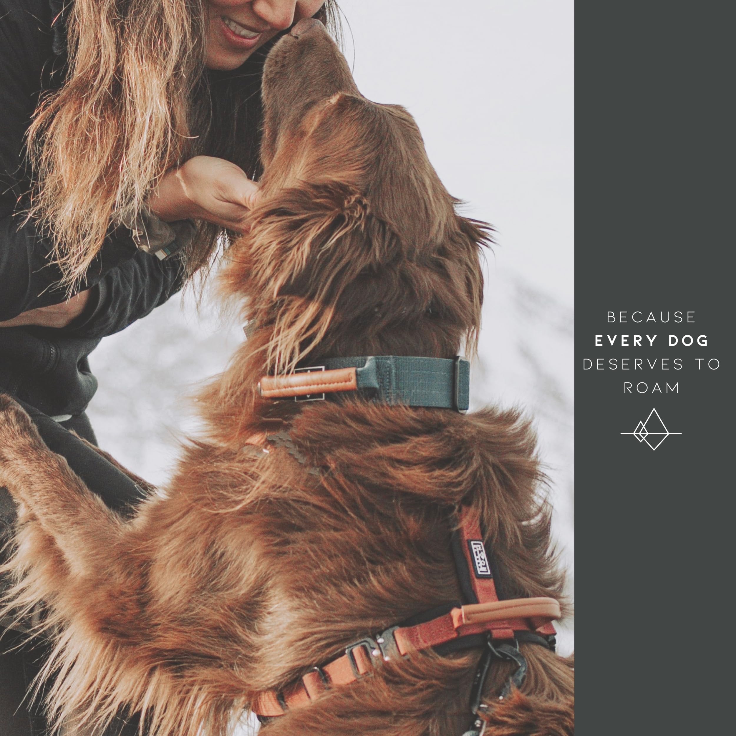 Made to ROAM Premium Dog Collar - Adjustable Heavy Duty Nylon Collar with Quick-Release Metal Buckle (New York Afterlight, Size