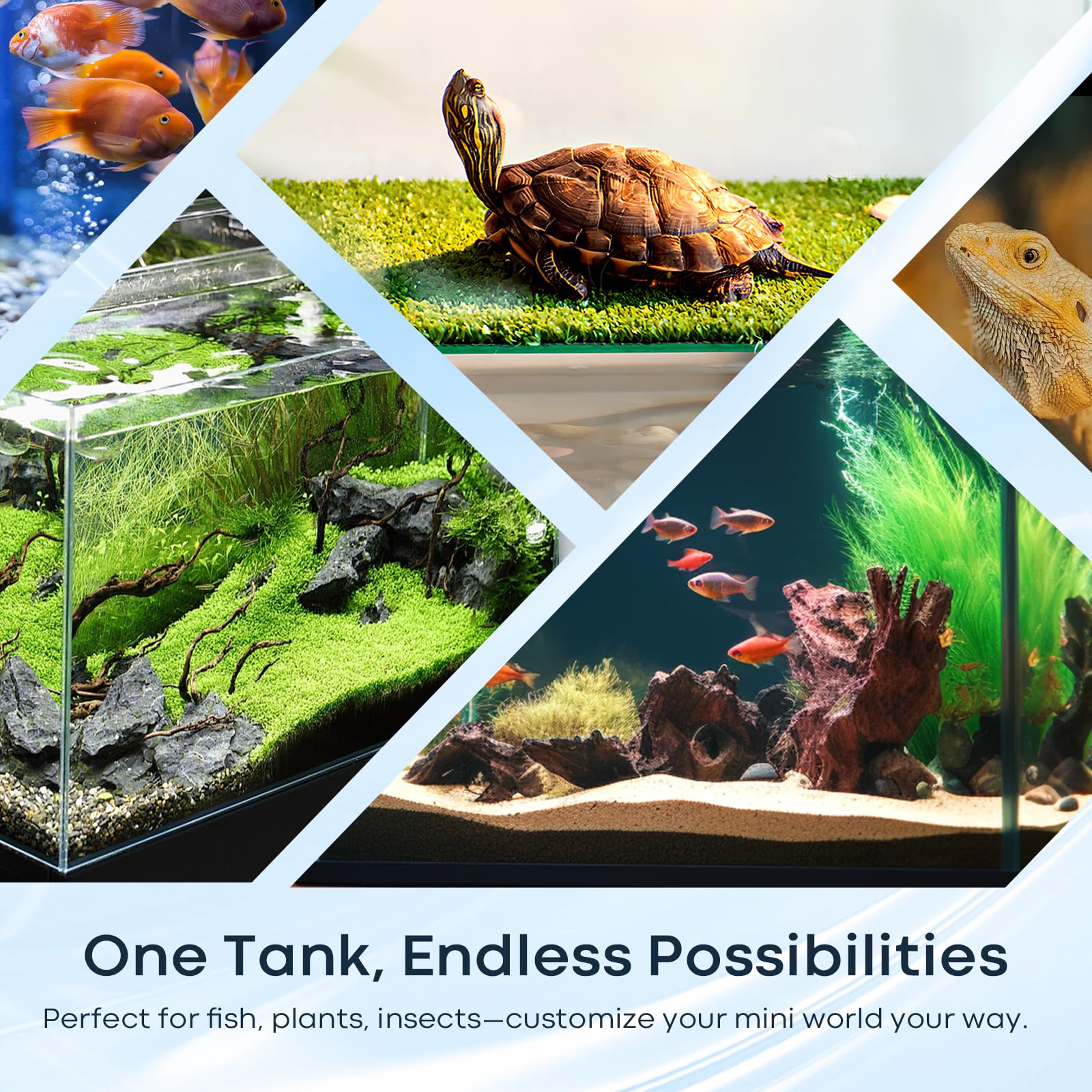 10 Gallon Glass Fish Tank, Aquarium Fish Bowl Cube for Betta Goldfish Snails Shrimp Aquatic Planting, Easy to Maintain Ultra Cle