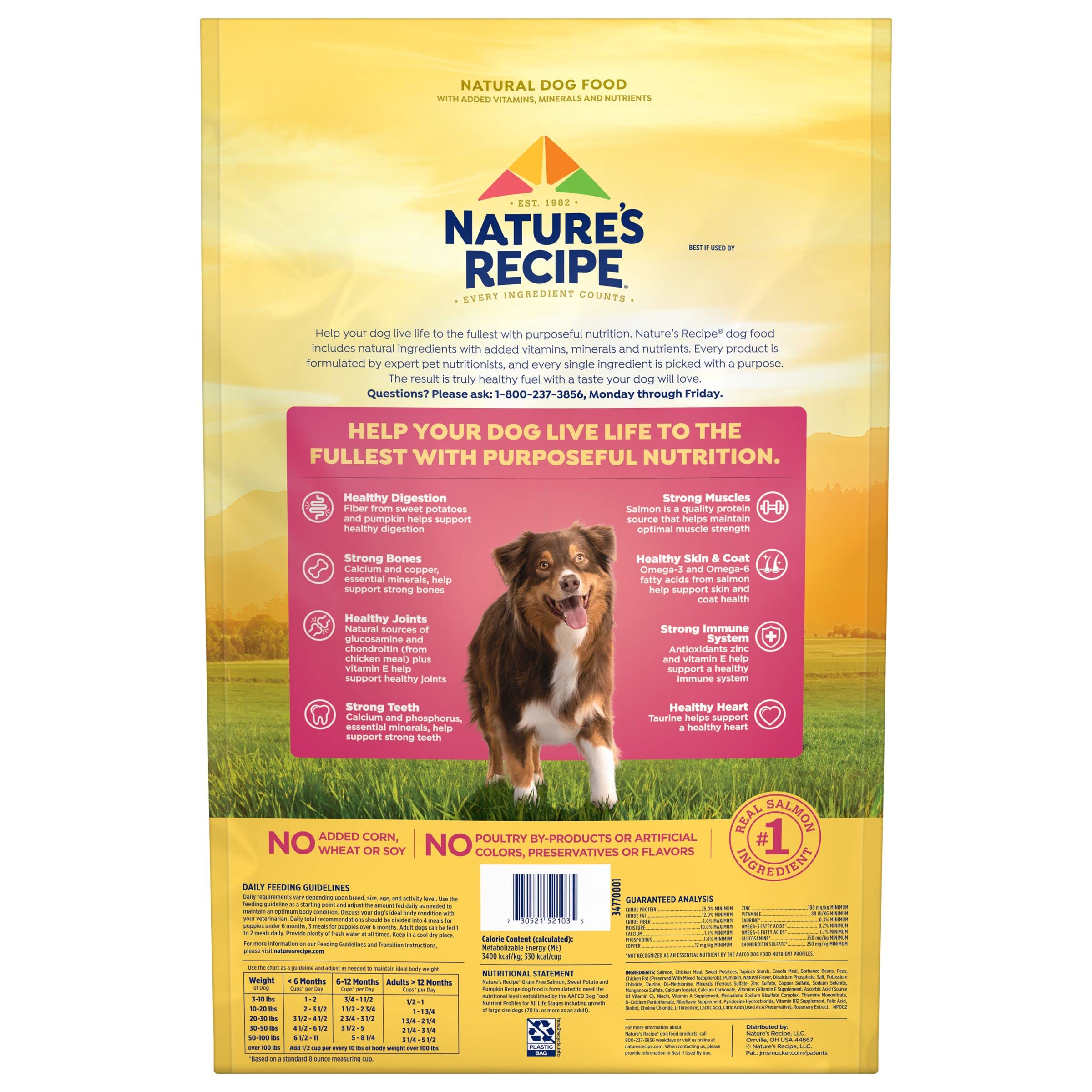 Natures Recipe Grain Free Salmon, Sweet Potato & Pumpkin Recipe Dry Dog Food, 12 lb. Bag