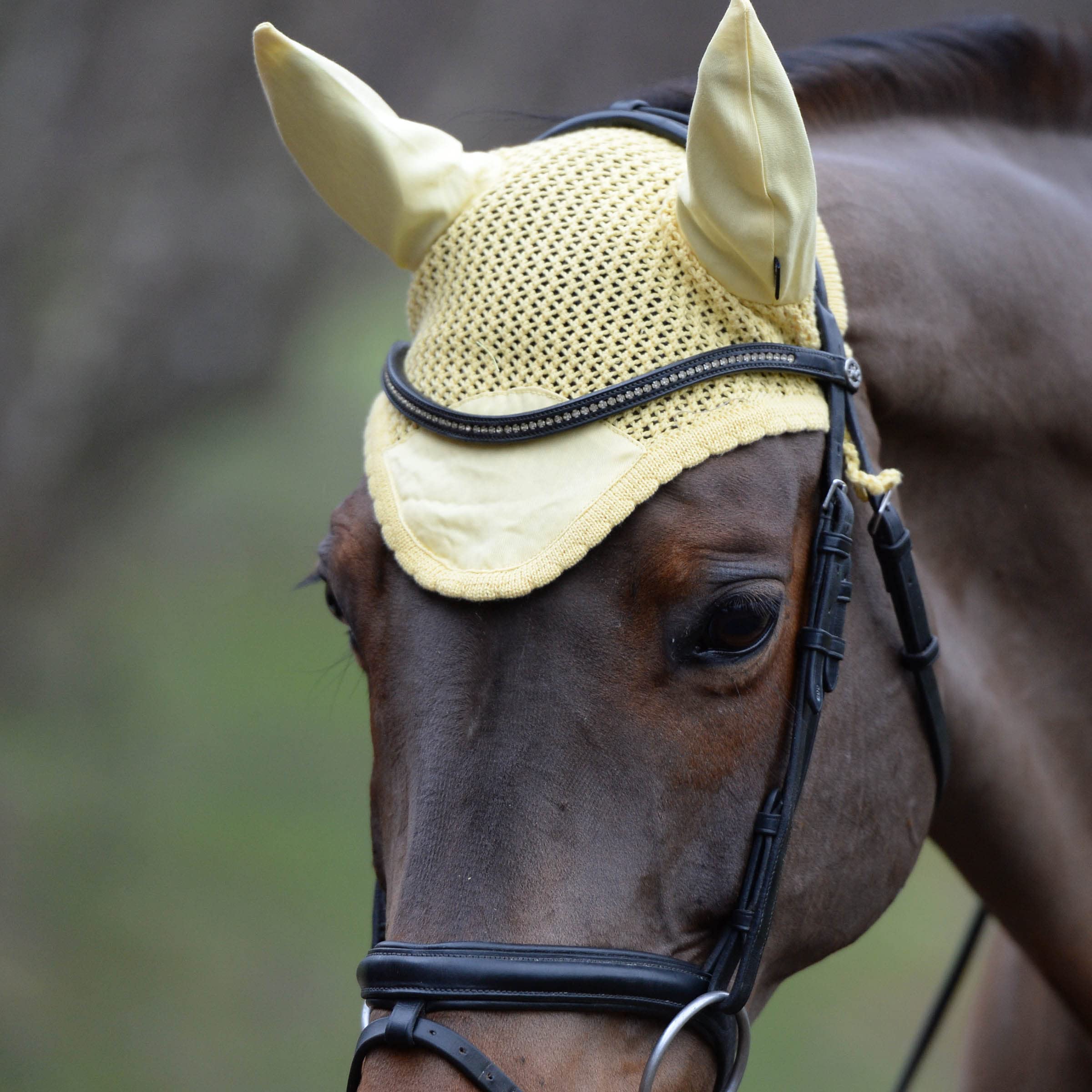 WeatherBeeta Prime Ear Bonnet, Navy, Full
