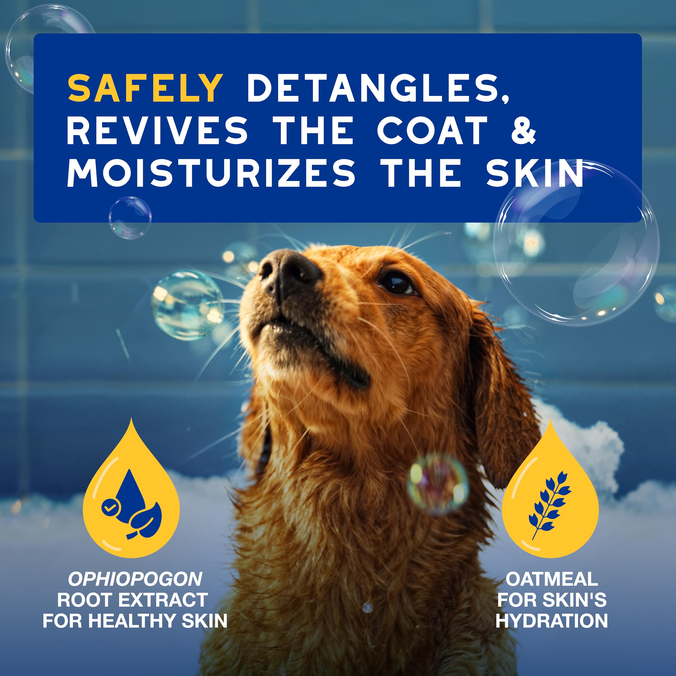 Douxo Skin & Coat Spa - Ultra-Safe Oatmeal Dog Conditioner, 16 Fl Oz, Safely Detangles, Revives The Coat And Moisturizes The Ski