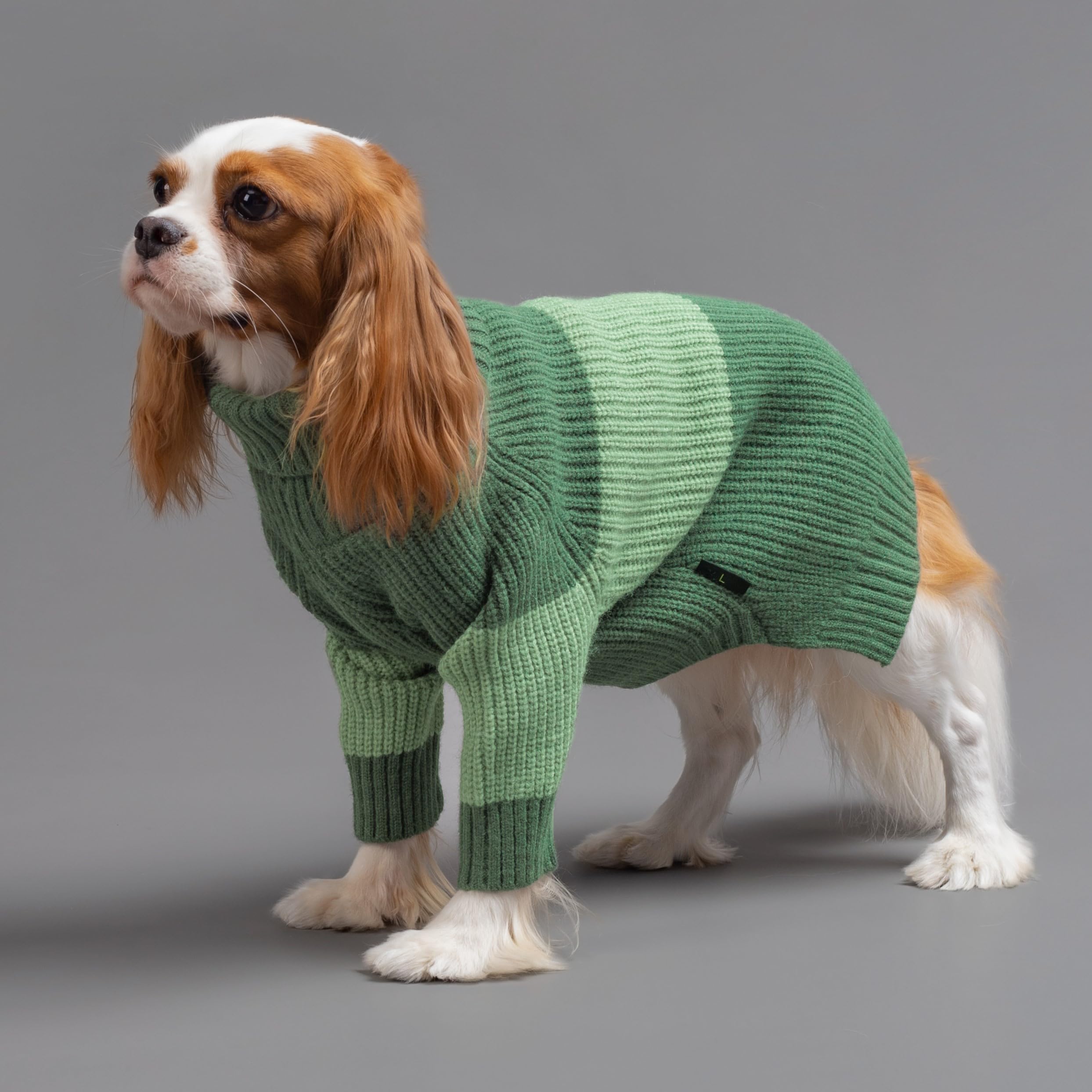 Fitwarm Color Block Turtleneck Dog Sweater, Thermal Dog Winter Clothes For Small Dogs Boy Girl, Pet Outfit, Dark Green, Mint Gre