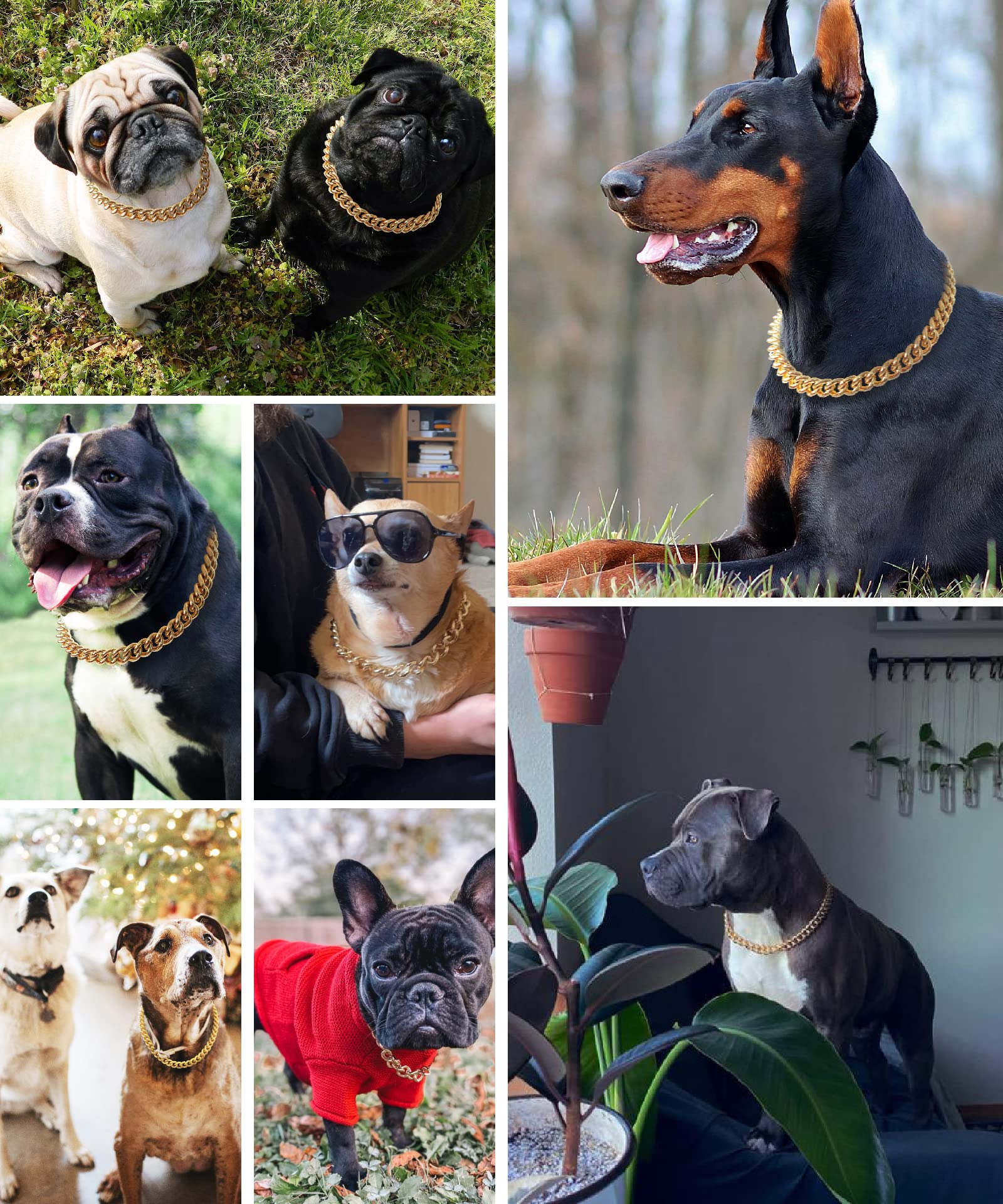 PP COLOR Gold Chain Dog Collar-15mm Cute Dog Collar Pet Gold Necklace Bulldog Light Metal Puppy Jewelry 23 Chain Puppy Costume