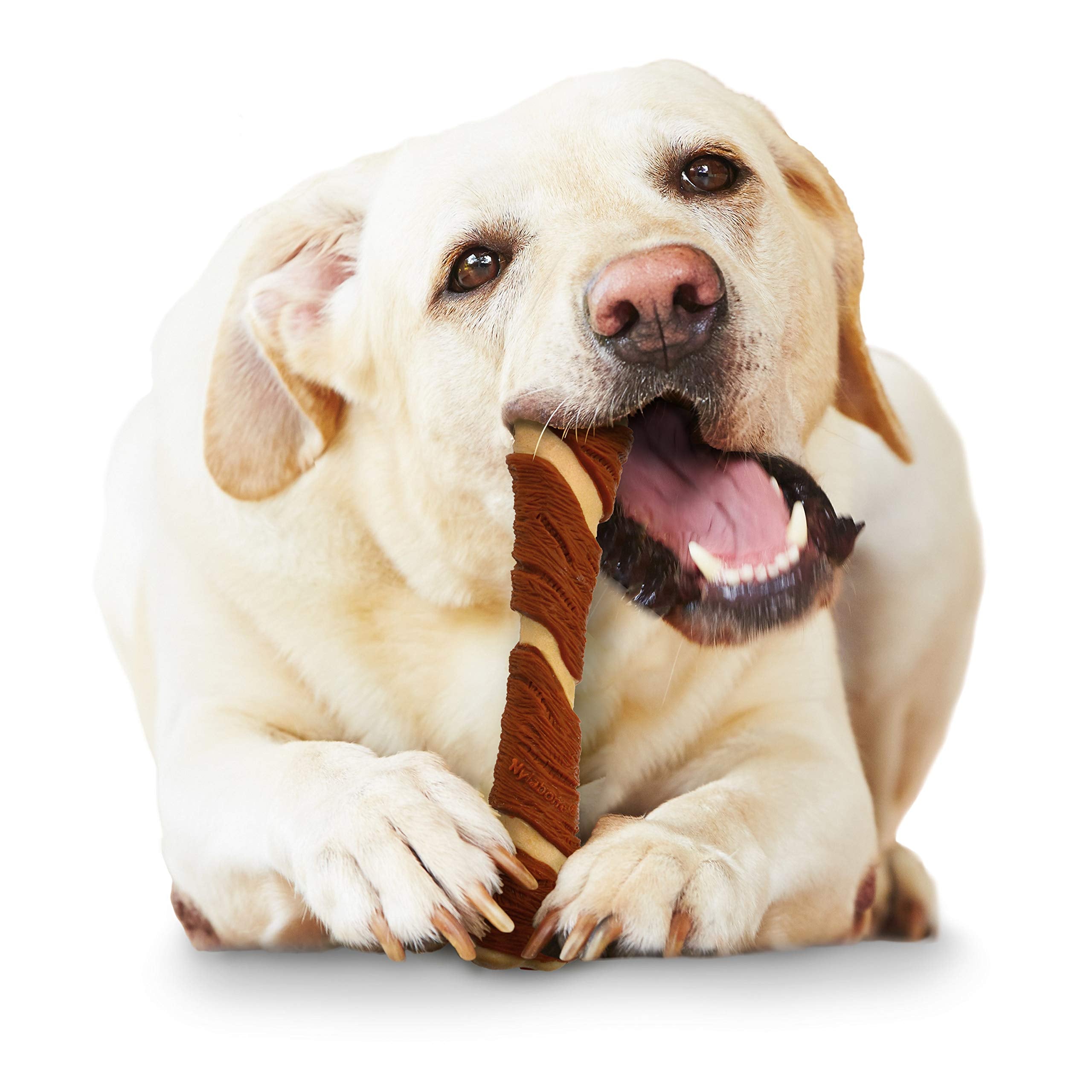 Nylabone Power Chew Pork Hide Bone Alternative Nylon Chew Toy For Dogs, Dog Toys For Aggressive Chewers, Bacon & Peanut Butter Flavor, Large/Giant (1 Count)