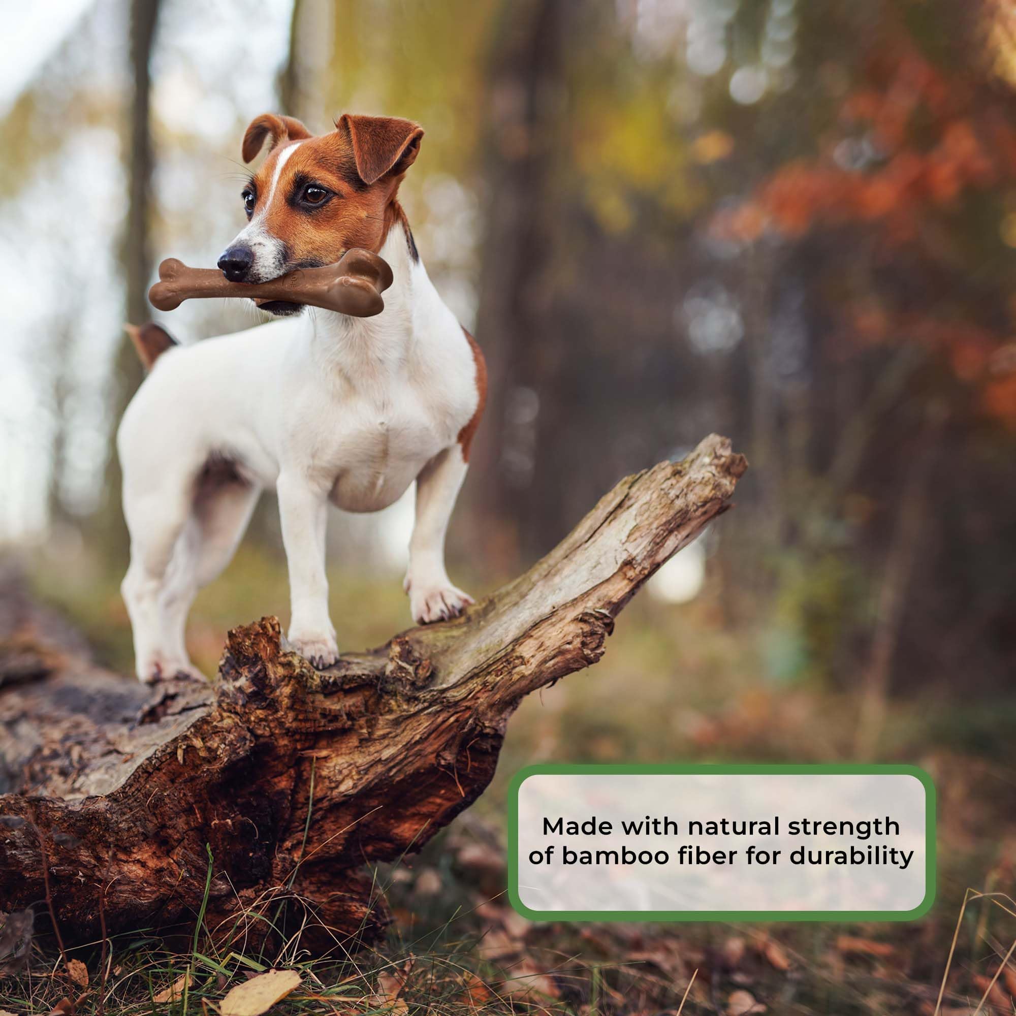 Spot Ethical Pets 54316 Bambone Bone Chicken Pet Chew Toys