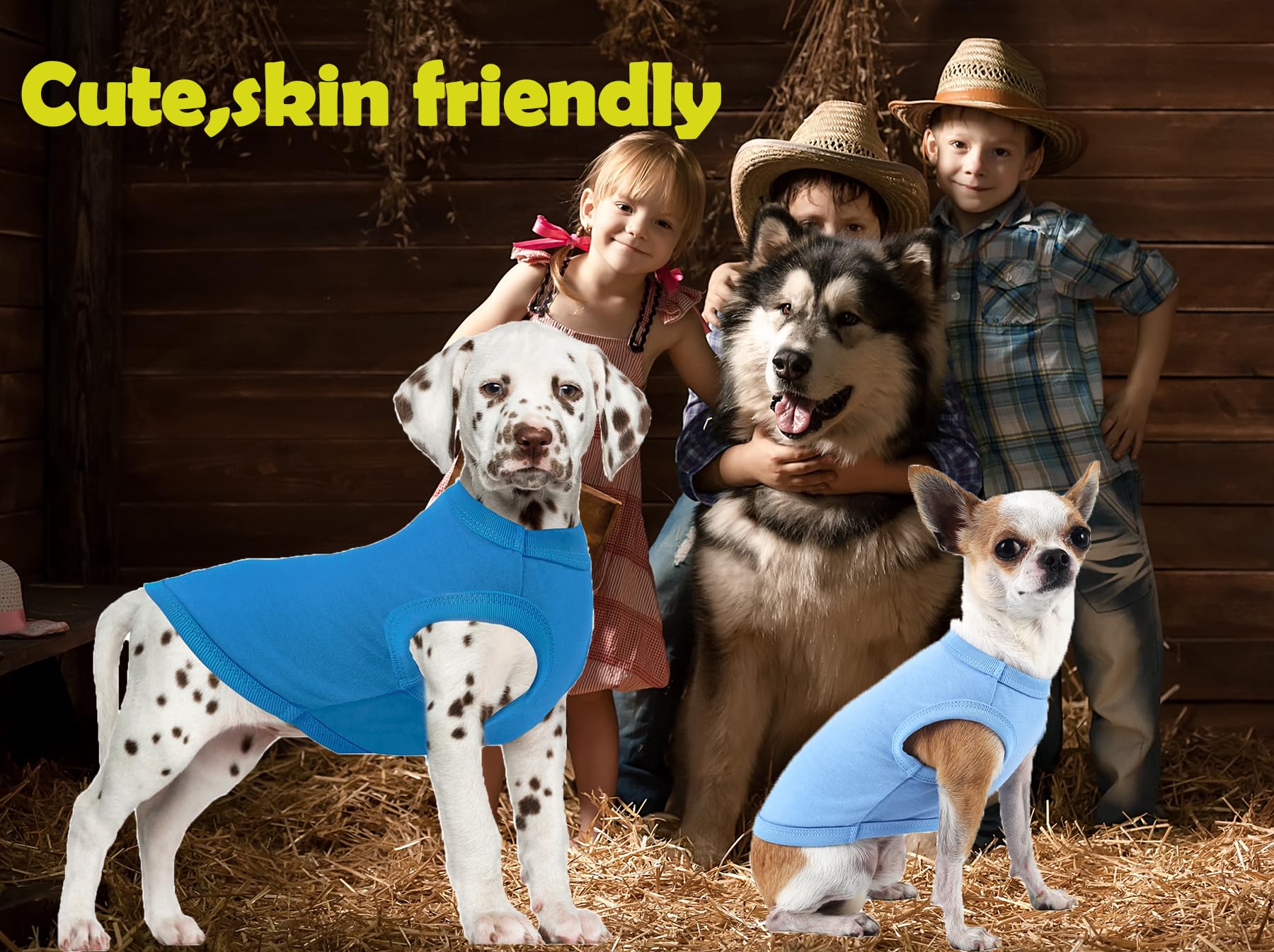 Sychien Dog Blank Blue Shirt,Boy Girl Dogs Extra Large Cotton Tee Shirts,Plain Labrador T-Shirt,XXL Blue Royal