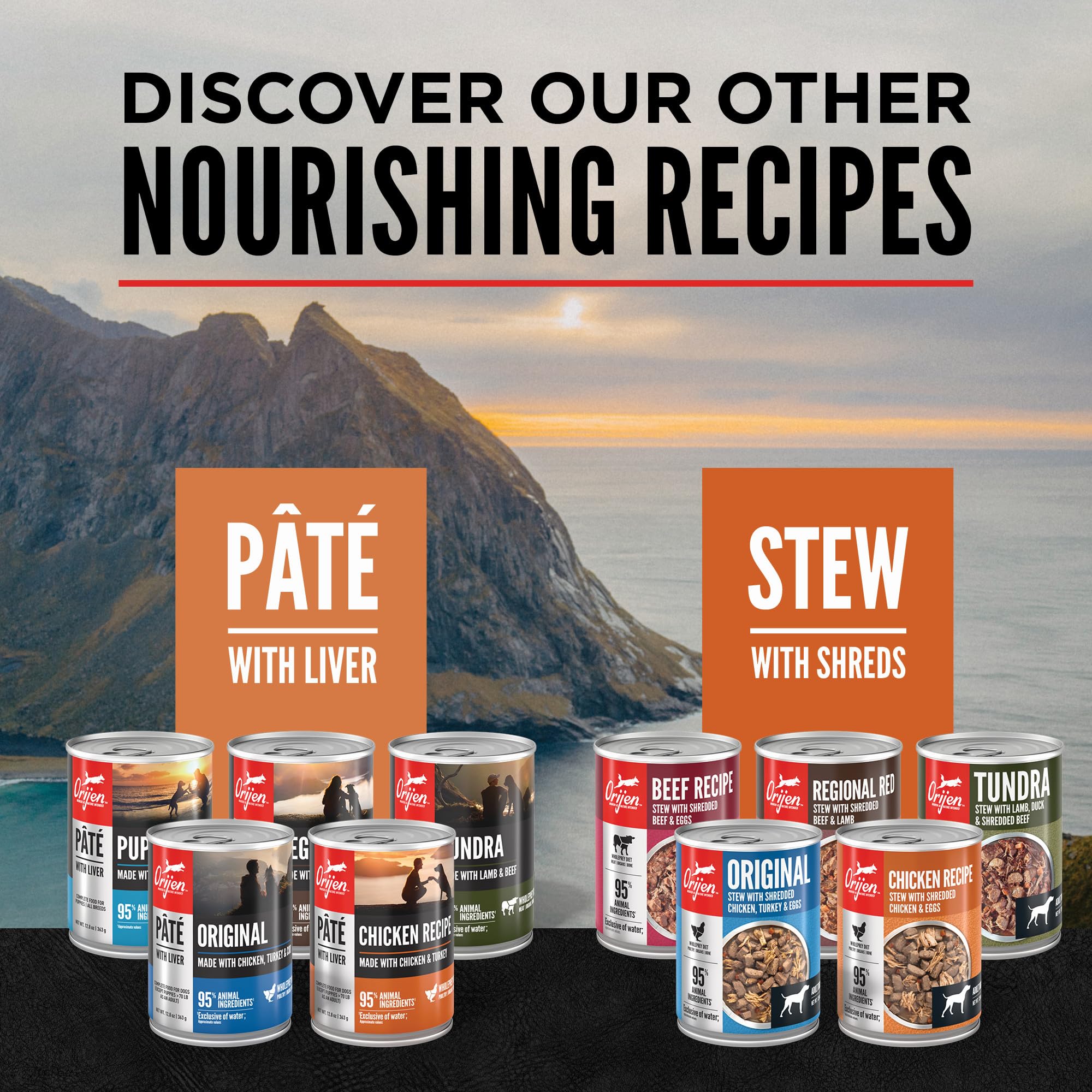ORIJEN Pate Wet Dog Food Chicken Recipe with Liver 12.8oz Cans (12 Count)