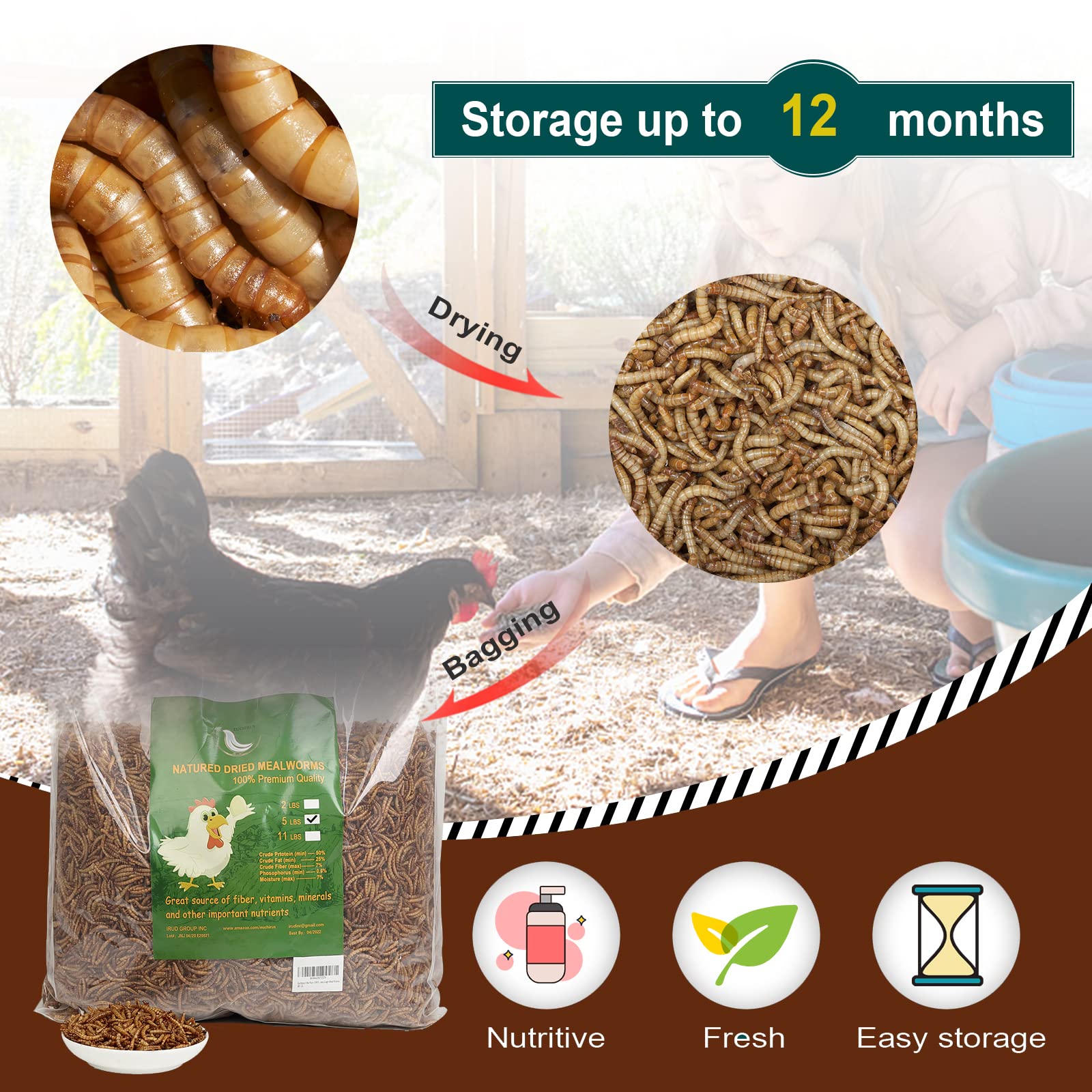 Euchirus High-Protein Dried Mealworms for Chickens & Wild Birds - 6LB Non-GMO Poultry Treats