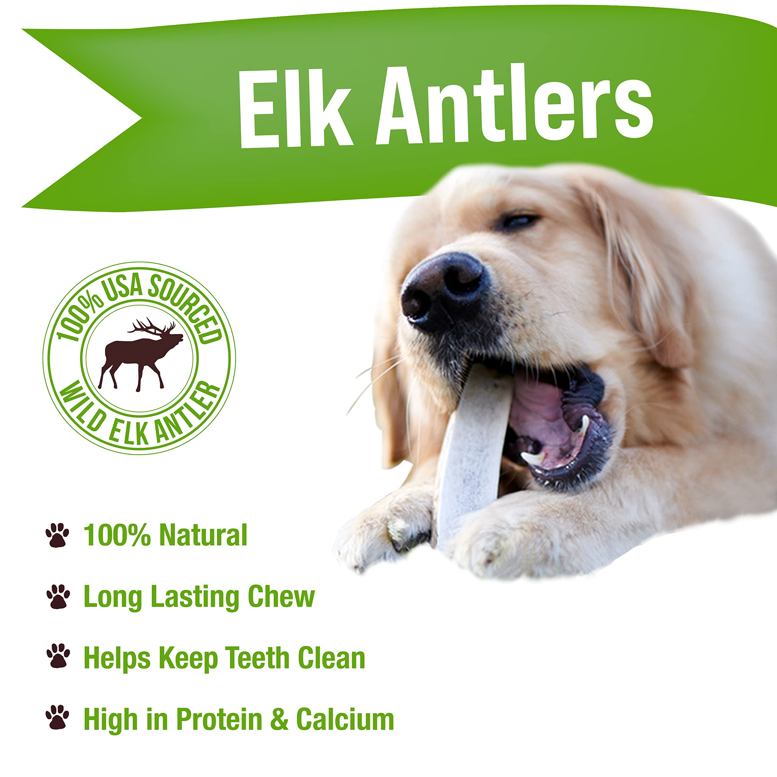 Buck Bone Organics Dog Chews, Elk Antlers for Dogs, Long Lasting Dog Bones for Aggressive Chewers, All Natural, No Preservatives