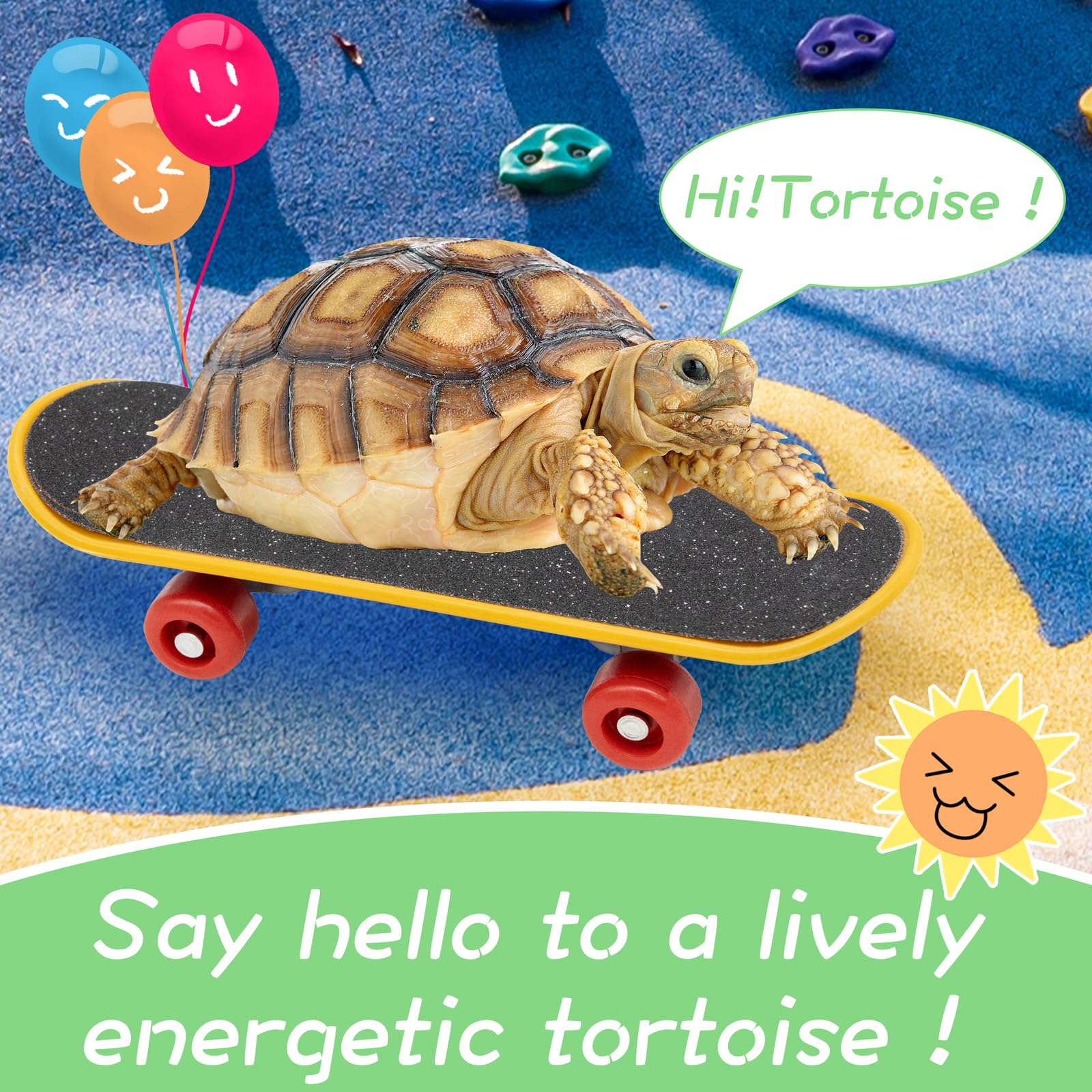 Niuohoy Tortoise Treat Ball And Mini Turtle Skateboard Set, Training Skateboard Toy & Tortoise Treat Ball Hanging Feeding Turtle