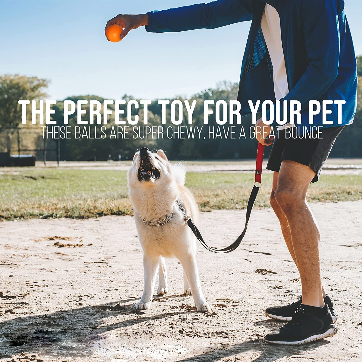 Qesonoo Indestructible Dog Ball - Solid Rubber, 2.7in, Orange, Durable Fetch Toy for Aggressive Chewers, Non-Toxic, High Elasticity