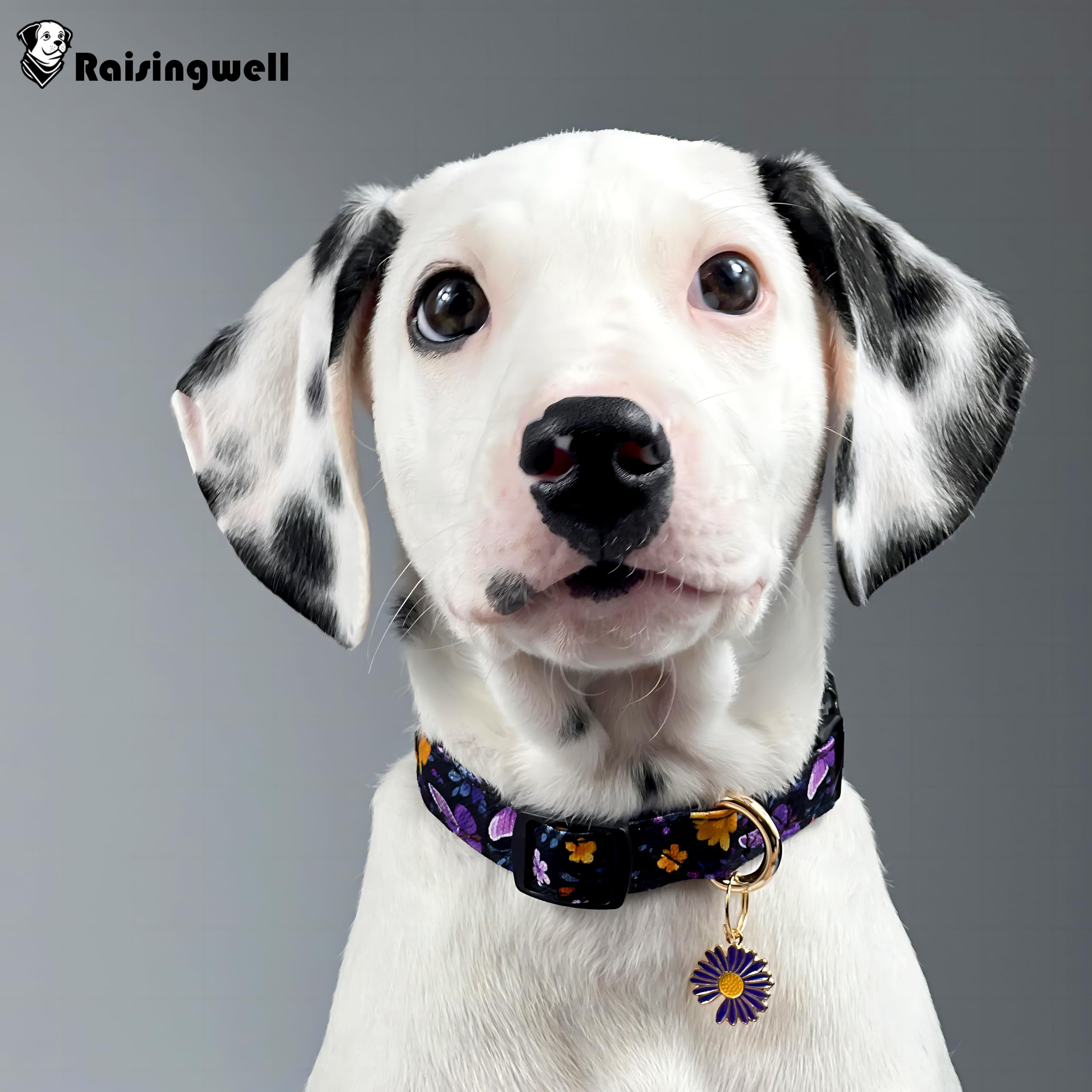 Raisingwell Cotton Dog Collar Purple Flower Pattern For Boys And Girls Cute Dog Collars Summer Fall Gift Adjustable For Medium T