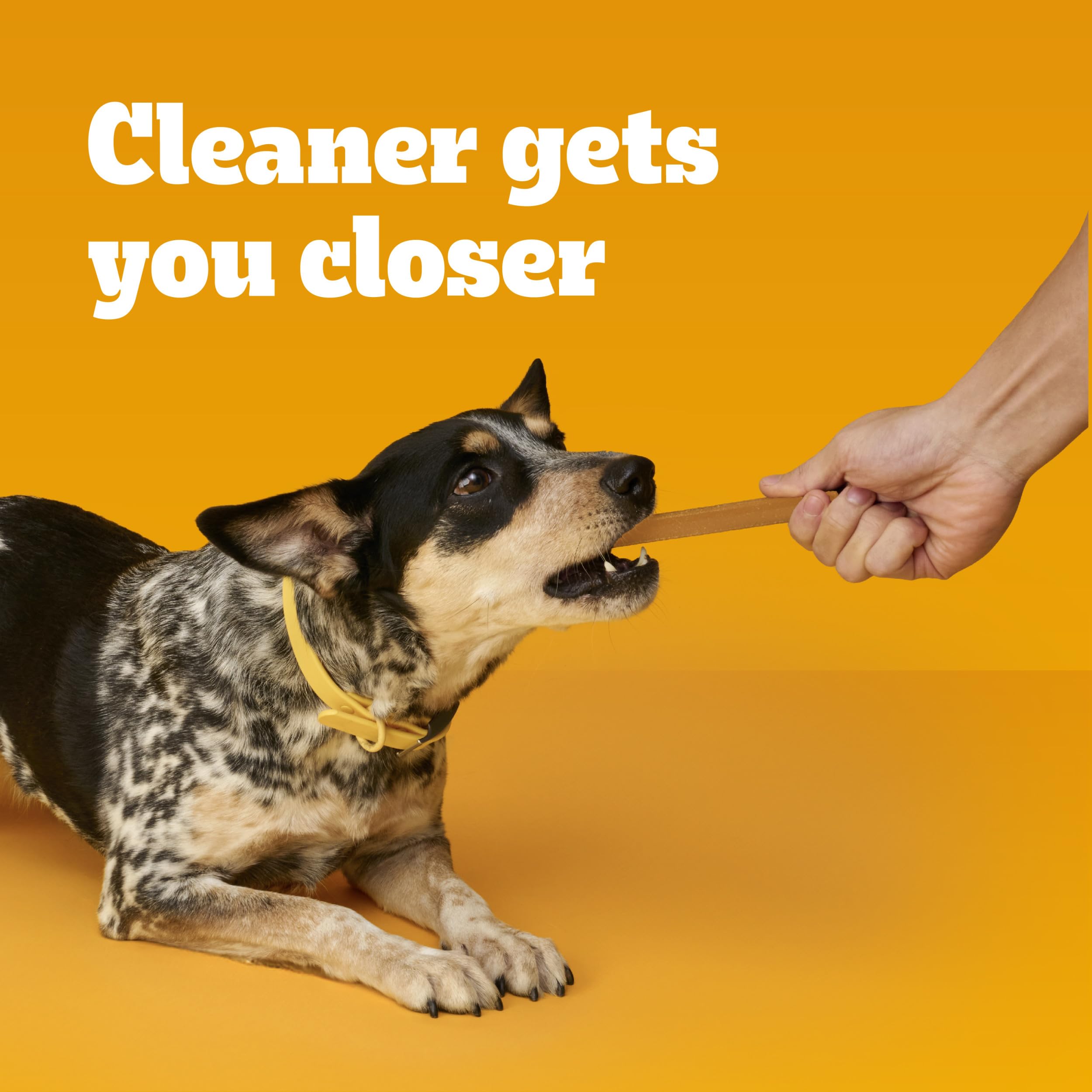 PEDIGREE DENTASTIX Small/Medium Dog Dental Treats Original Flavor Dental Bones, 13.93 oz. Pack (25 Treats)