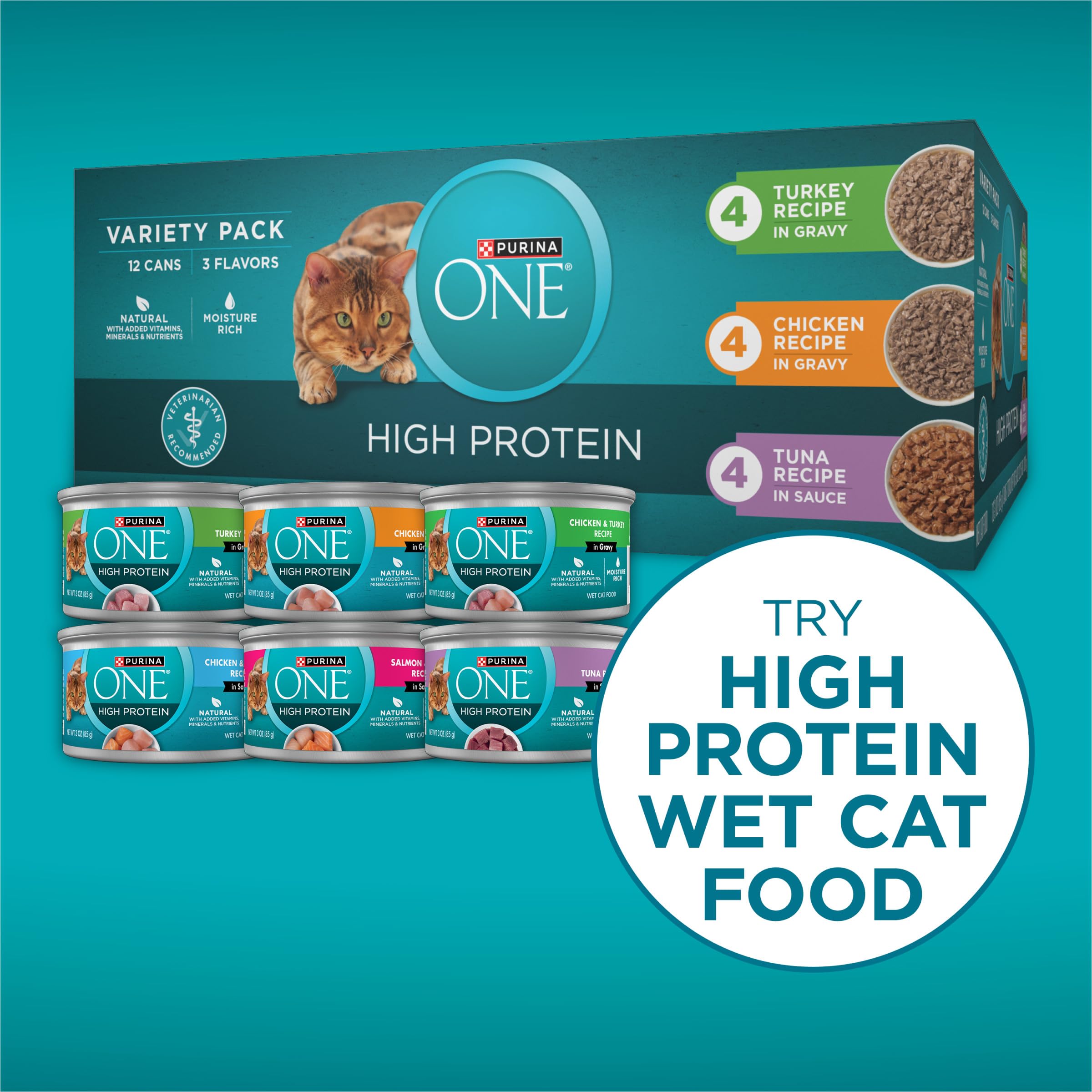 Purina ONE Plus High Protein Cat Food Dry Salmon and Ocean Whitefish Cat Skin and Coat Health Formula - 16 lb. Bag