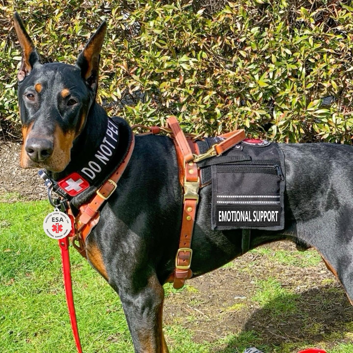 Mydeeryoo Emotional Support Dog Patches 2 Pcs, Esa Id Tag Easily Attach To Dog Collar, Harness (Xsmall)