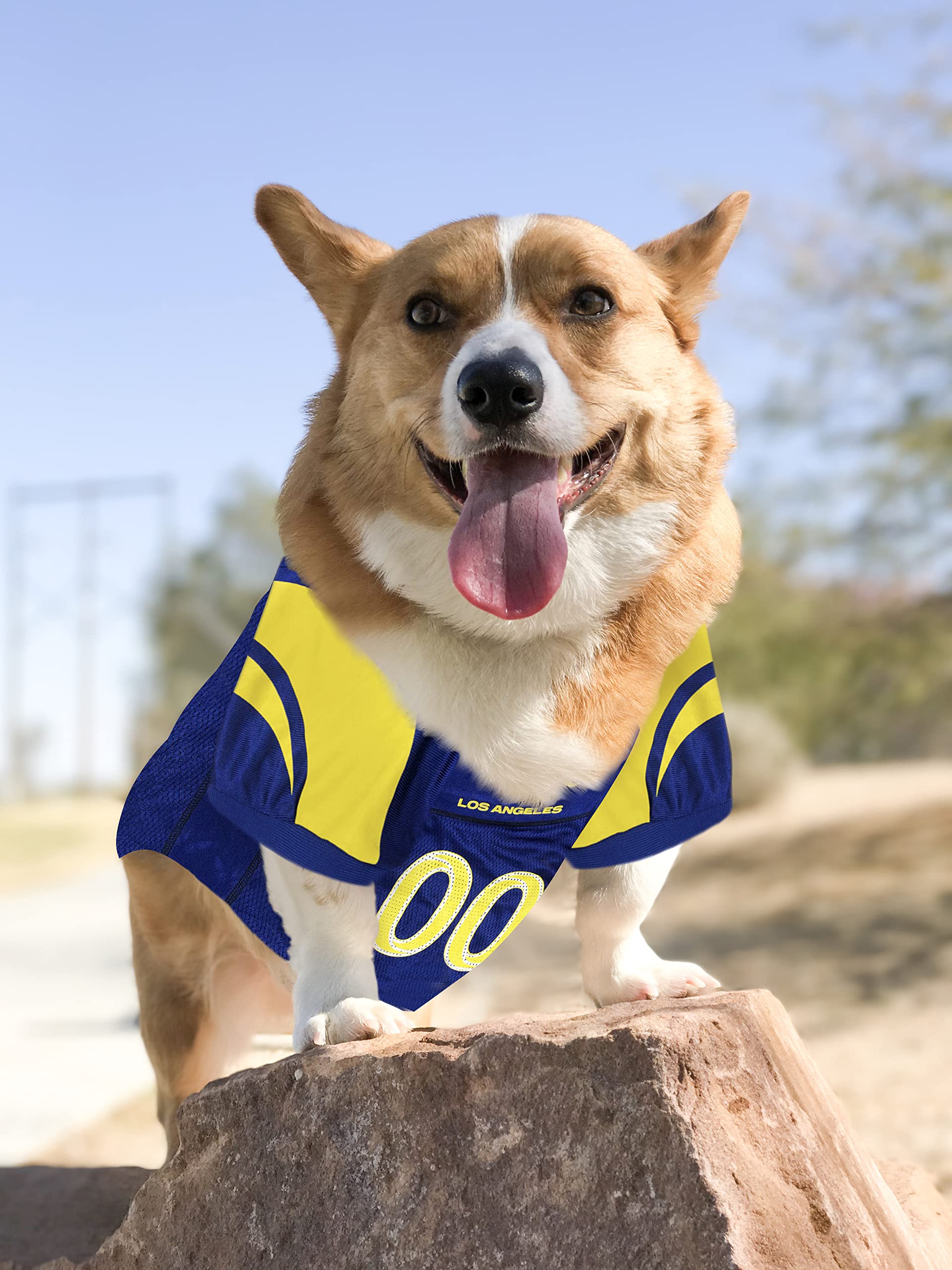 Nfl Los Angeles Rams Dog Jersey, Size: X-Small. Best Football Jersey Costume For Dogs & Cats. Licensed Jersey Shirt