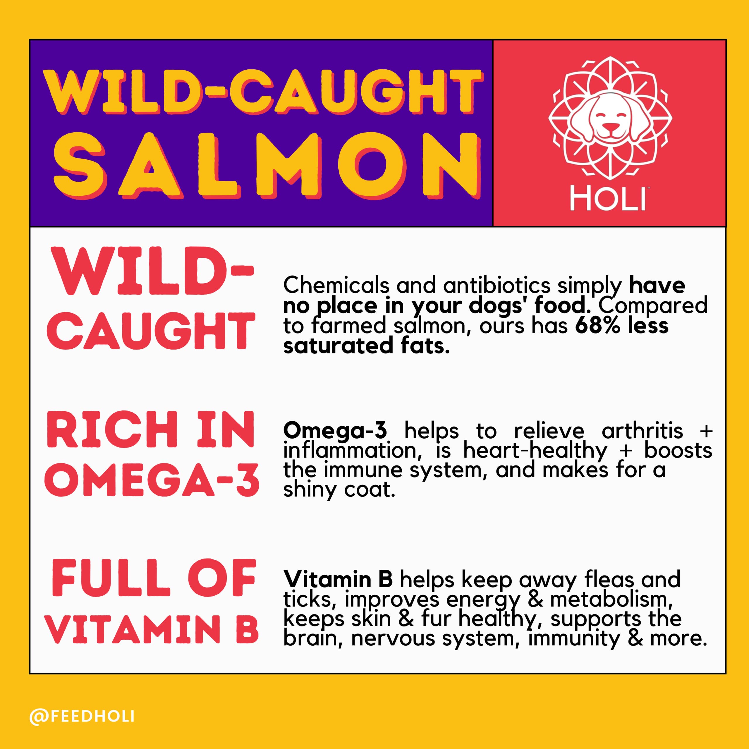 HOLI Freeze Dried Salmon Dog Food Topper - with Omega 3 & 6 - Single Ingredient, Human-Grade Wild Caught Salmon - Dog Food Flavo